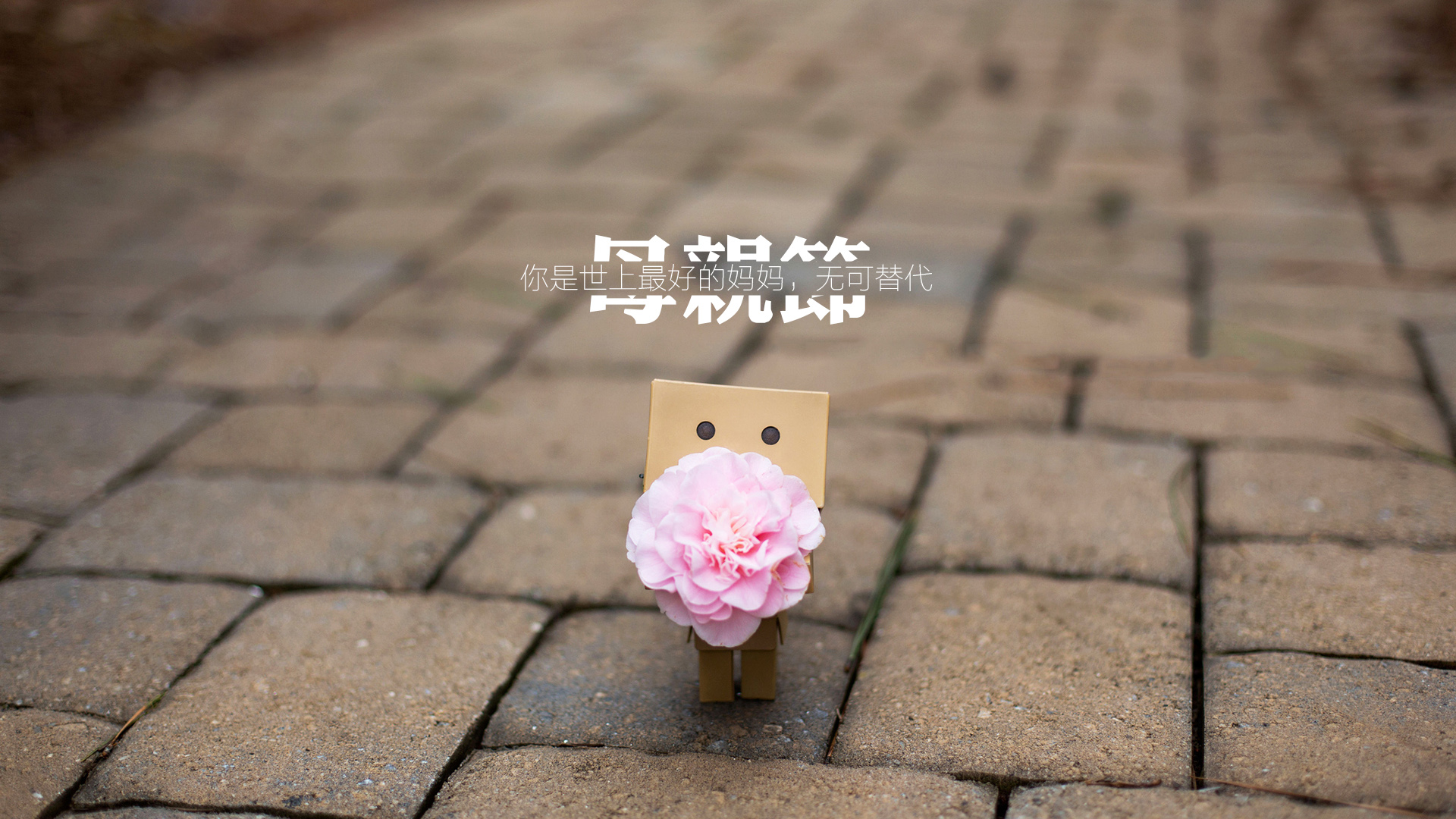 母亲节致敬，独一无二的你，世间最好的妈妈，康乃馨献爱，纸盒人伴左右，精选桌面壁纸免费下载