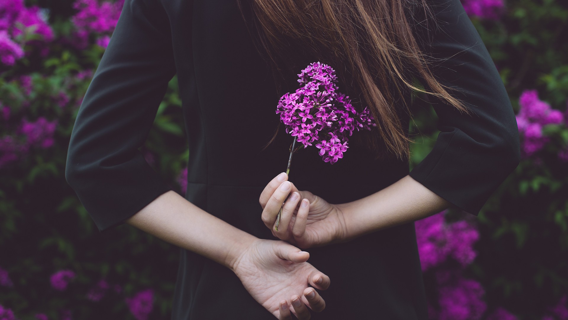 女孩倩影伴紫花，唯美壁纸免费下载