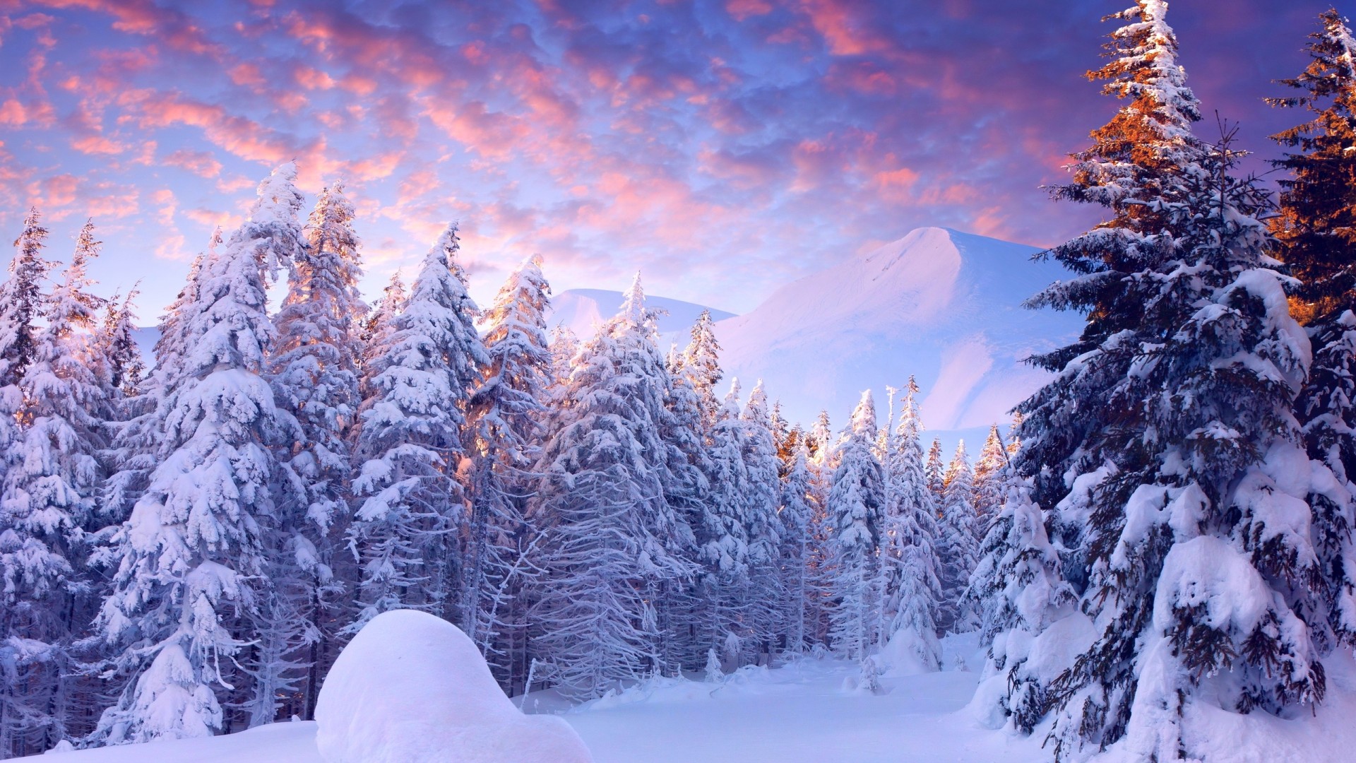 冬日雪景，山树映天，云卷云舒——自然美景电脑壁纸免费下载
