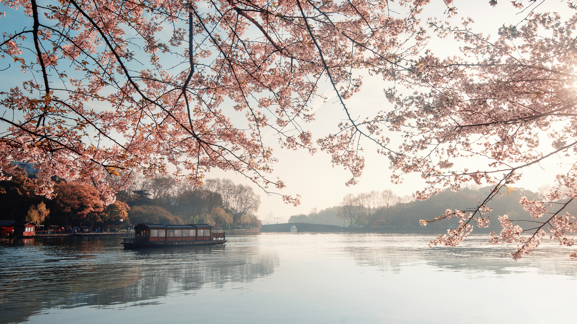 湖畔樱花美景桌面壁纸，免费电脑壁纸下载