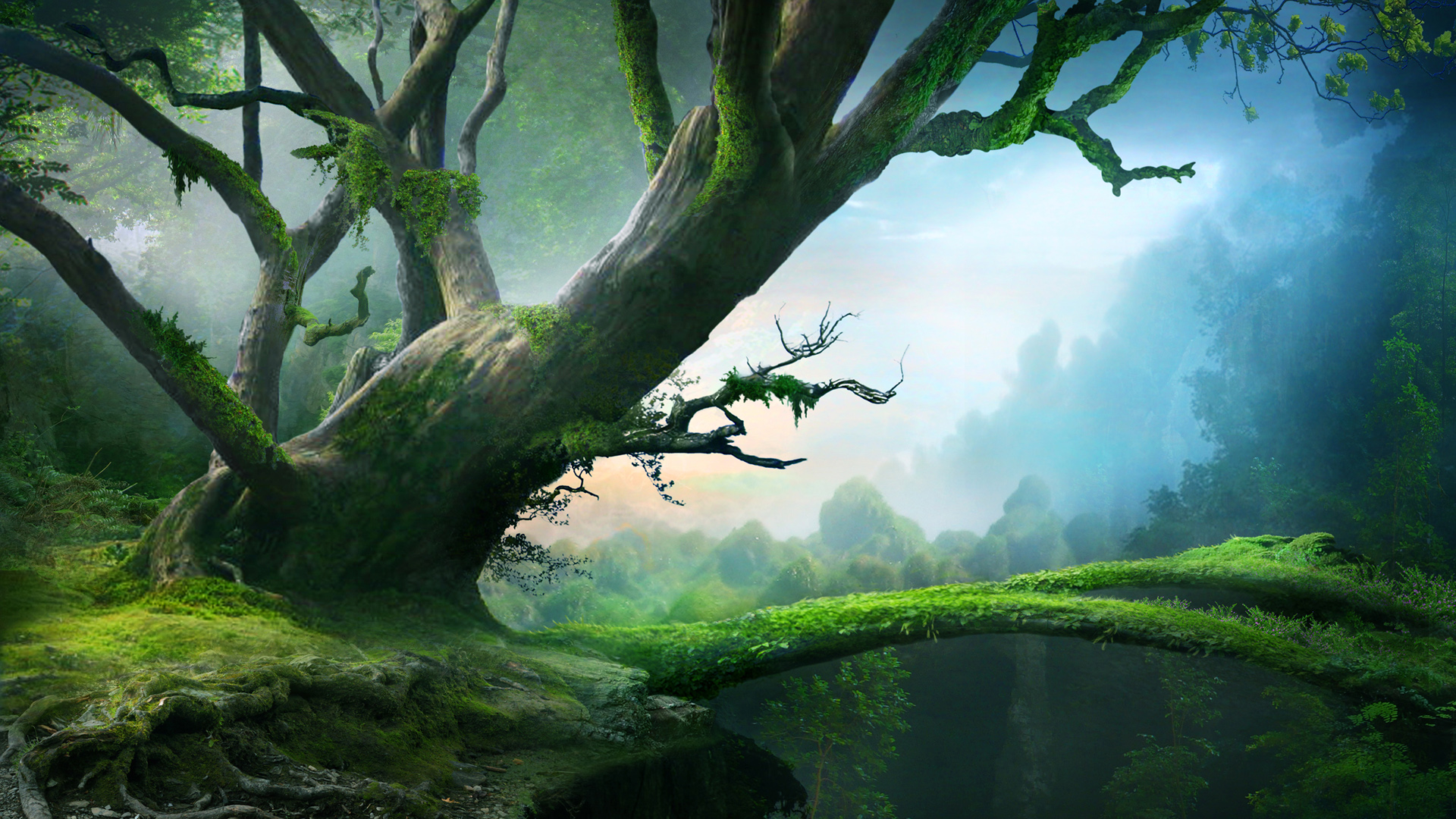 森林树桥美景桌面壁纸，免费高清绘画风景，一键下载电脑背景