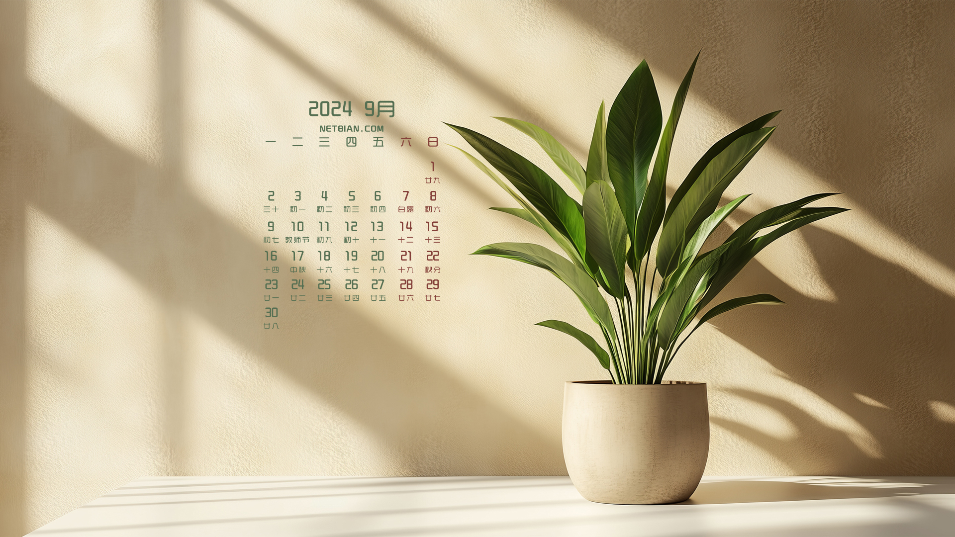室内植物2024年9月桌面日历壁纸
