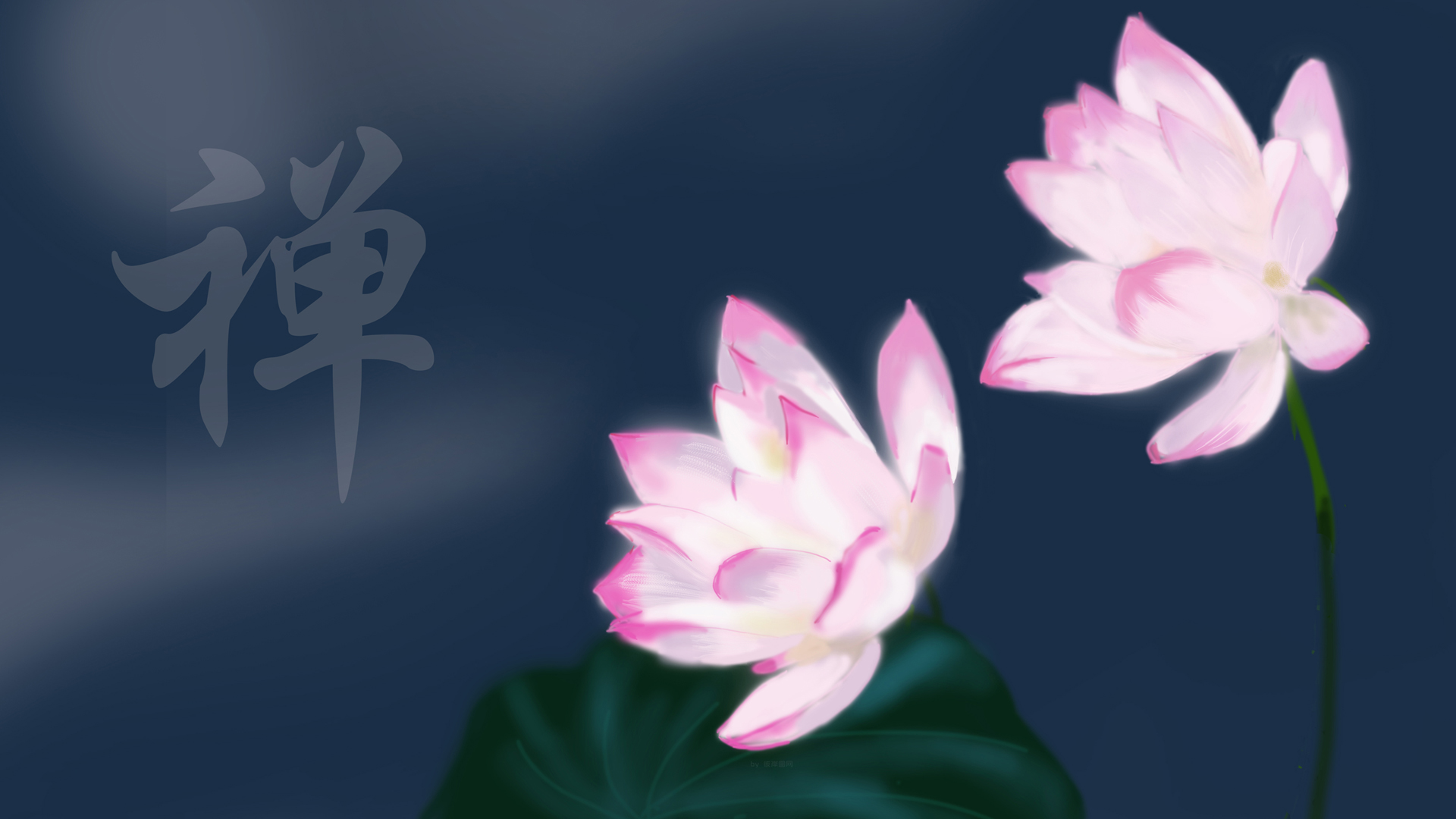 禅意荷花绘画，精选壁纸花卉，免费电脑壁纸下载