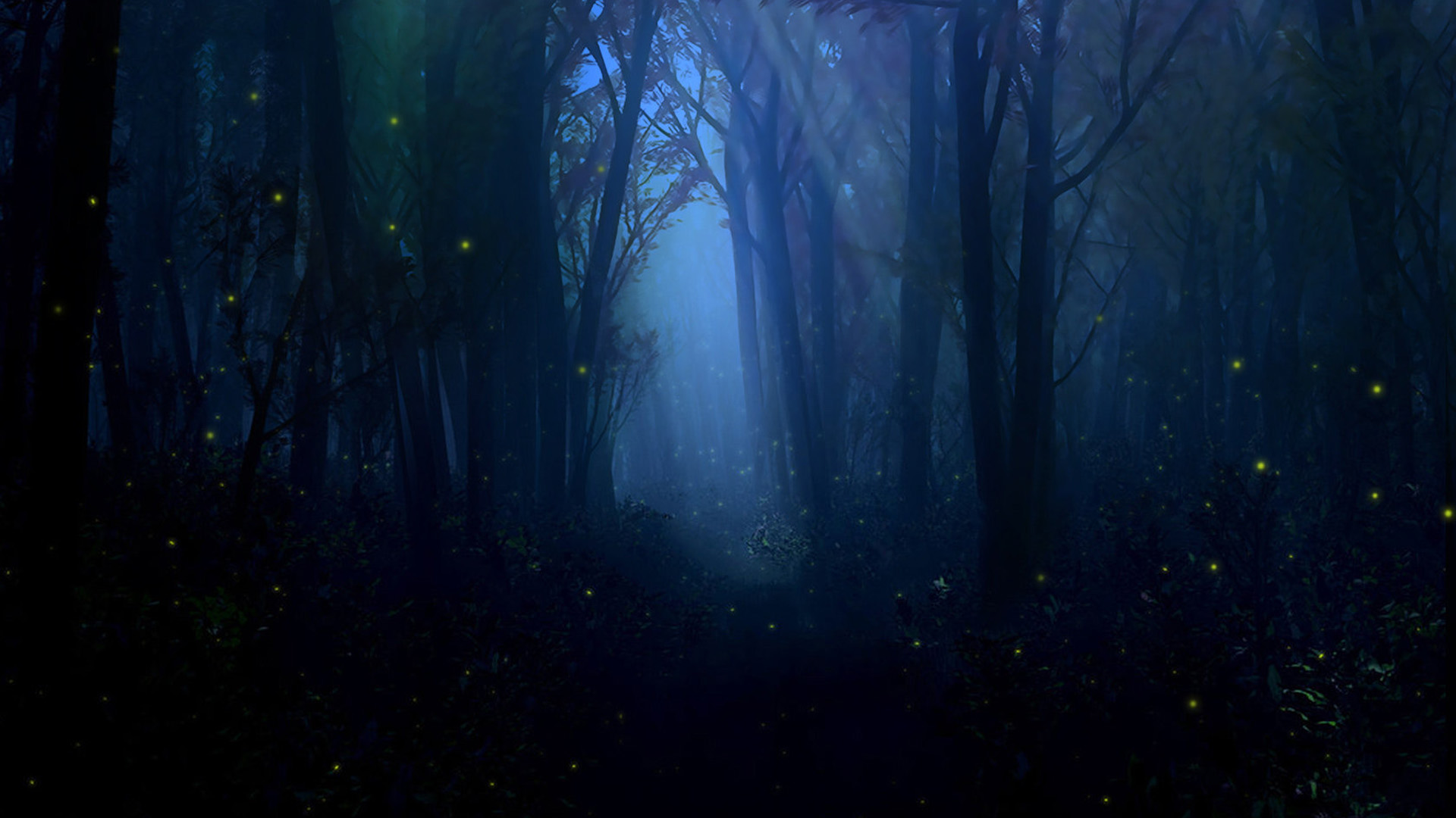 萤火虫夏夜，美景如画，免费下载唯美电脑壁纸