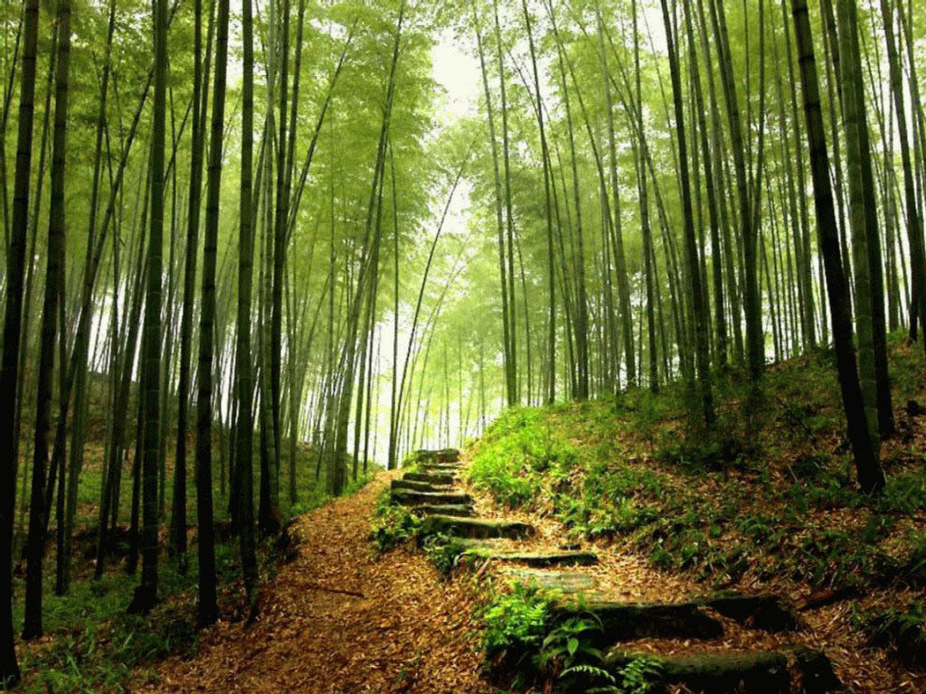 免费下载宁静风景壁纸，精美电脑背景一键获取！