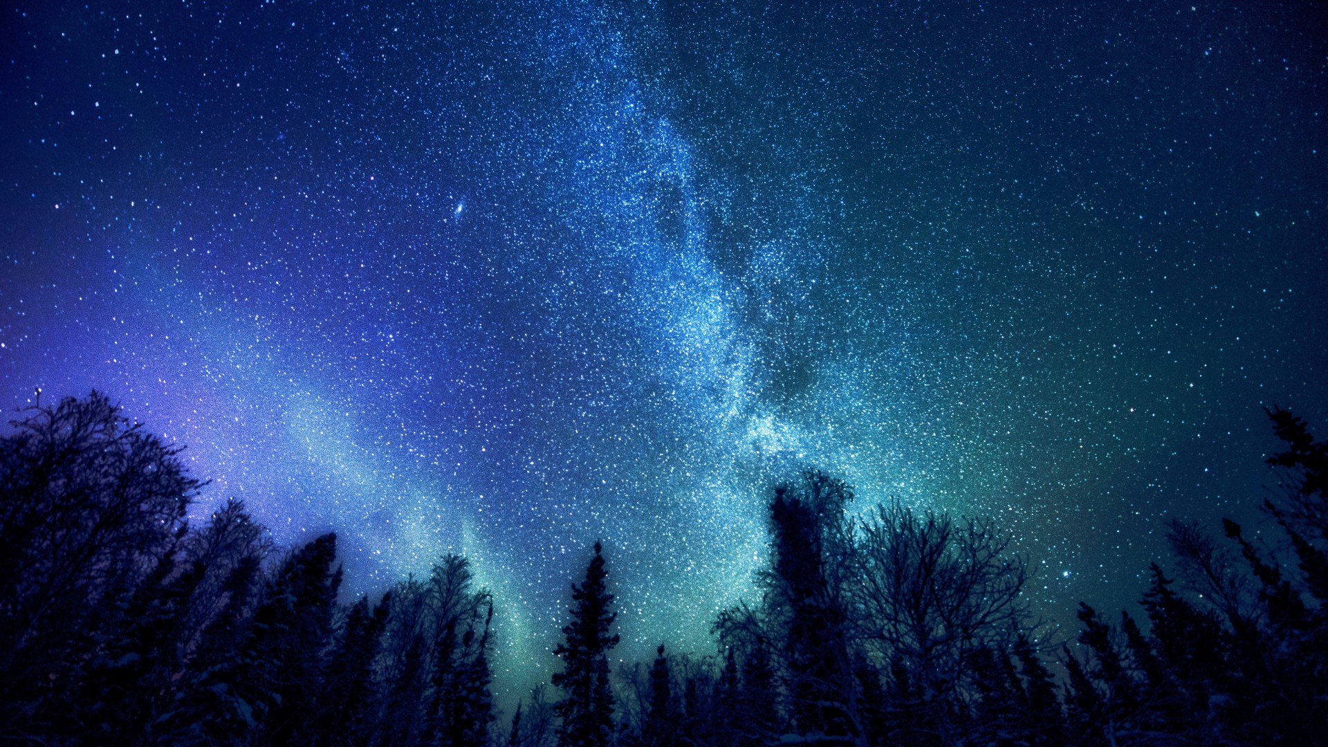 银河系星辰森林，免费高清风景壁纸，树木与空间美景一网打尽！