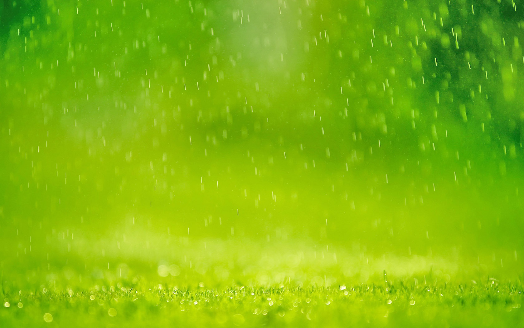 雨点桌面，精选免费电脑壁纸，一键下载背景美图