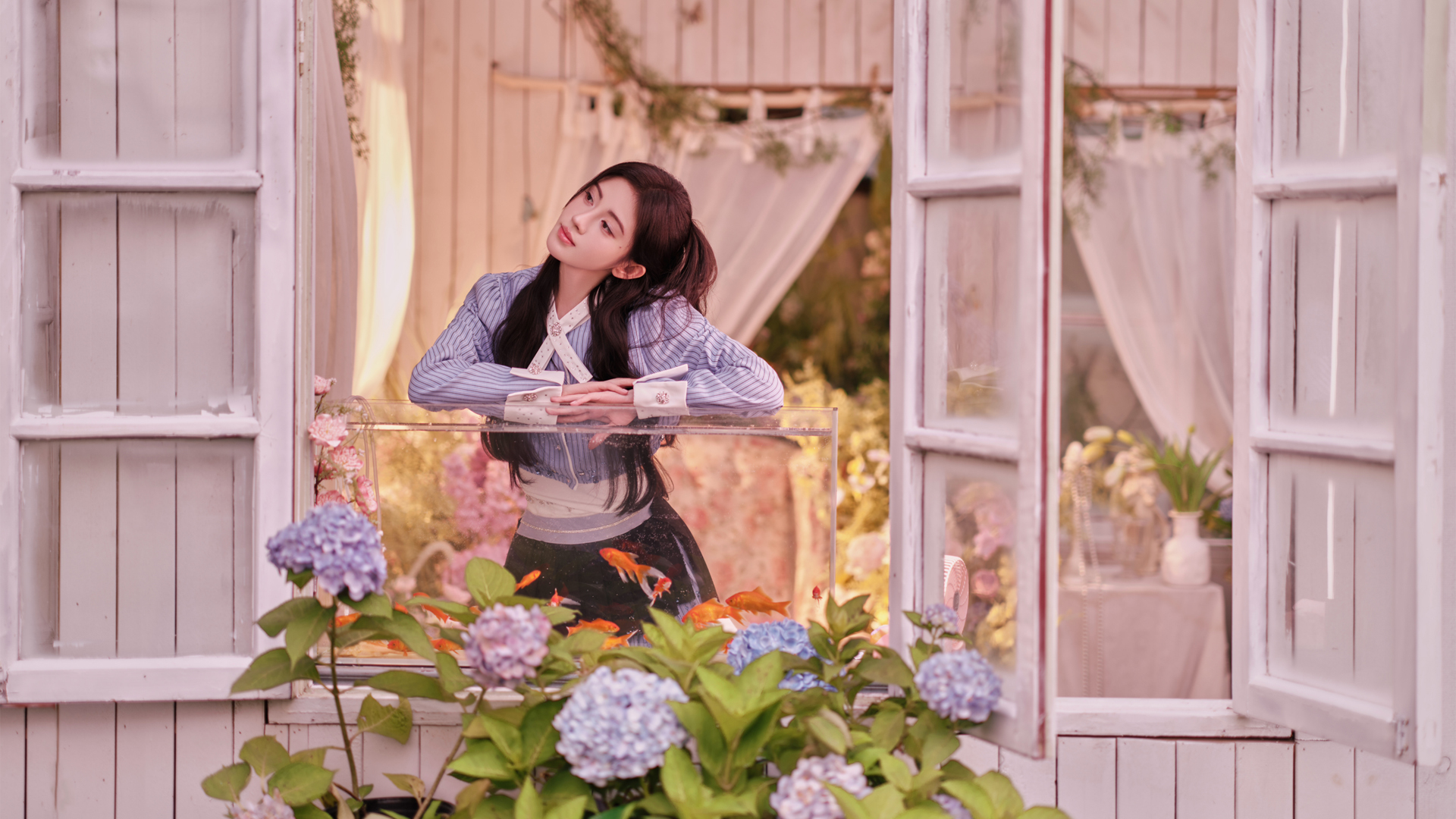 鞠婧祎高清鲜花窗景壁纸，美女电脑桌面美图免费下载