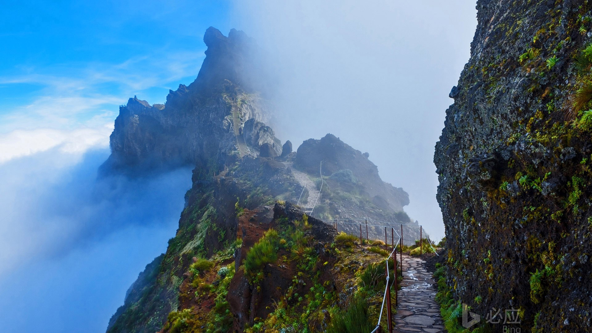 马德拉岛山间小径，葡萄牙绝美风景，免费电脑壁纸下载