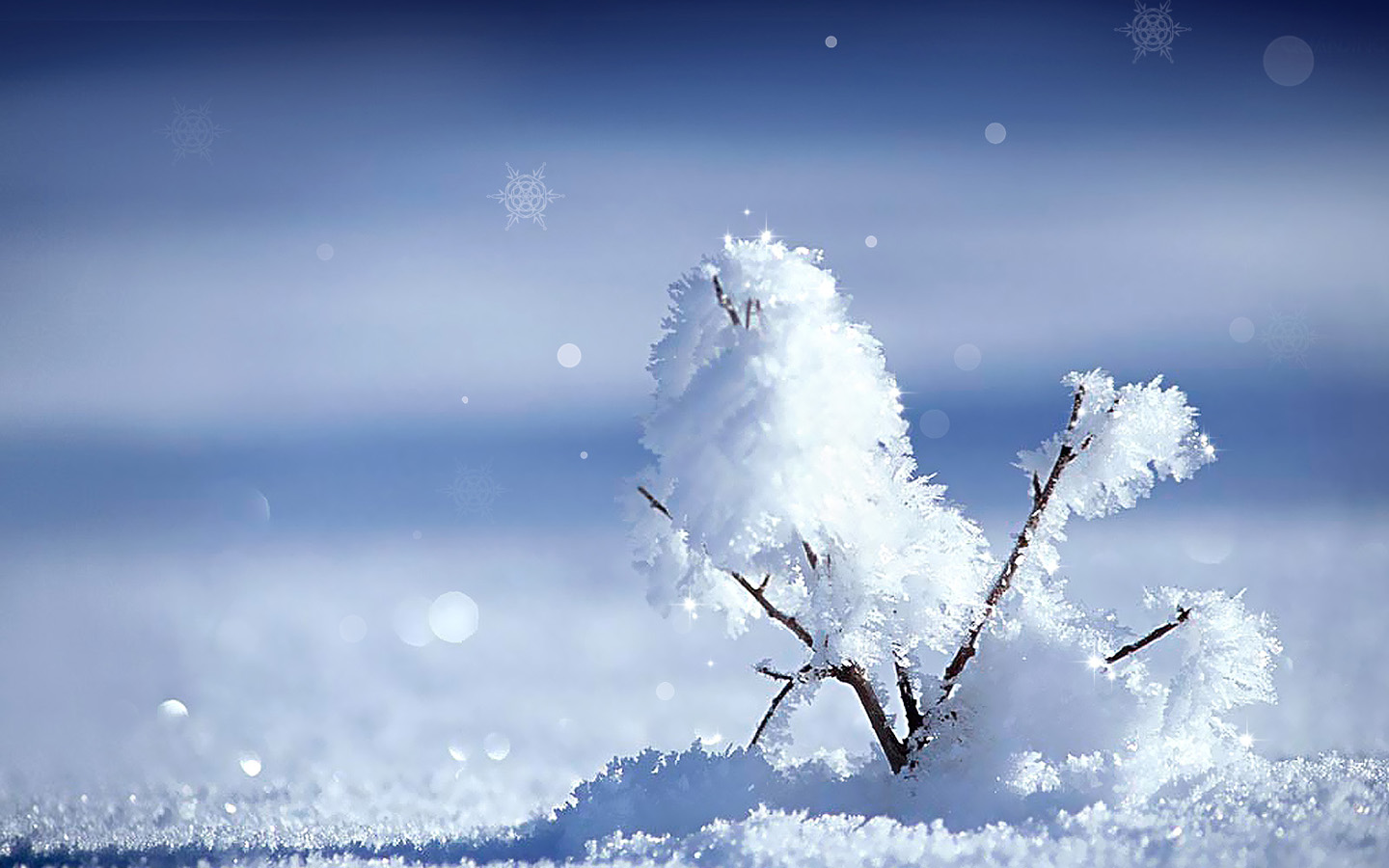 冬日雪景桌面壁纸，高清美景，免费下载，装点你的电脑屏幕
