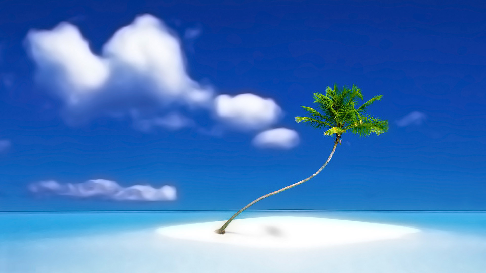 海边椰林美景壁纸，免费下载，装点你的电脑桌面！