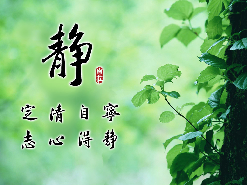 静谧之美，精选桌面壁纸设计，免费下载电脑背景