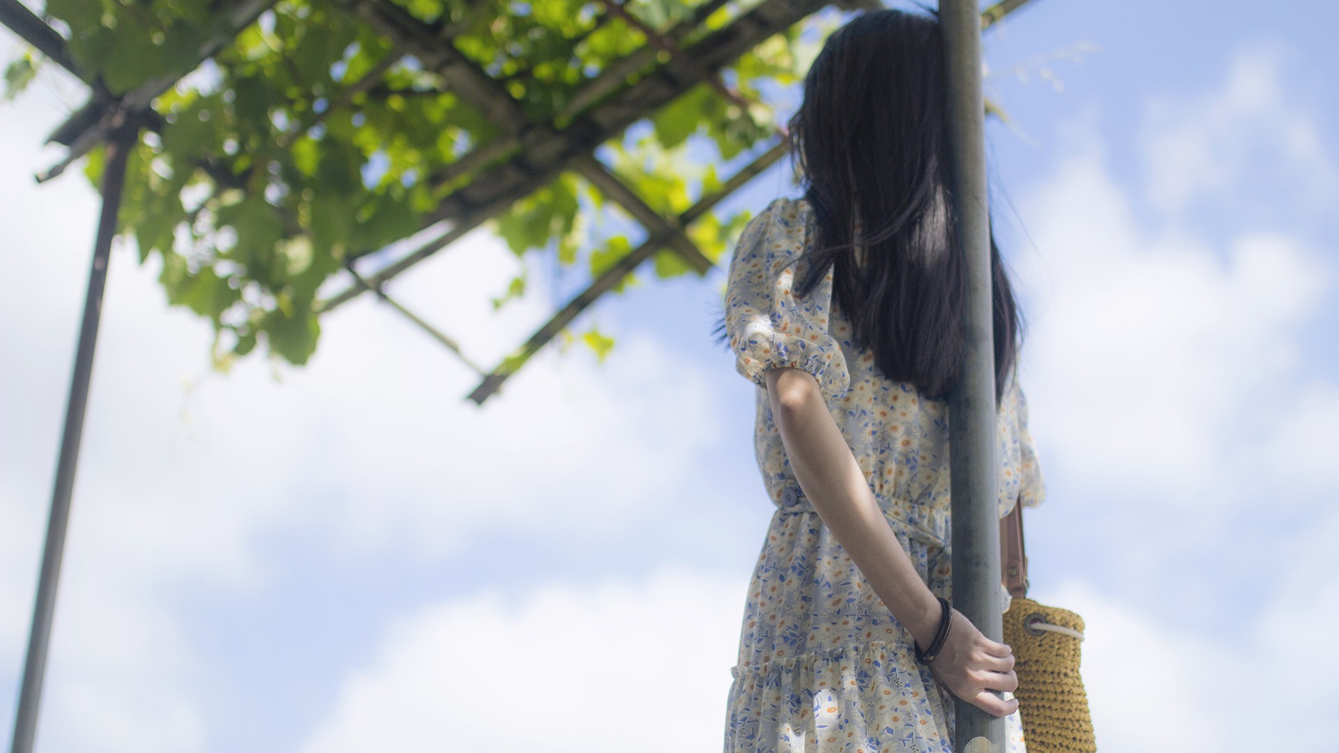 我们被时光淡忘，女孩背影伤感，非主流壁纸免费下载