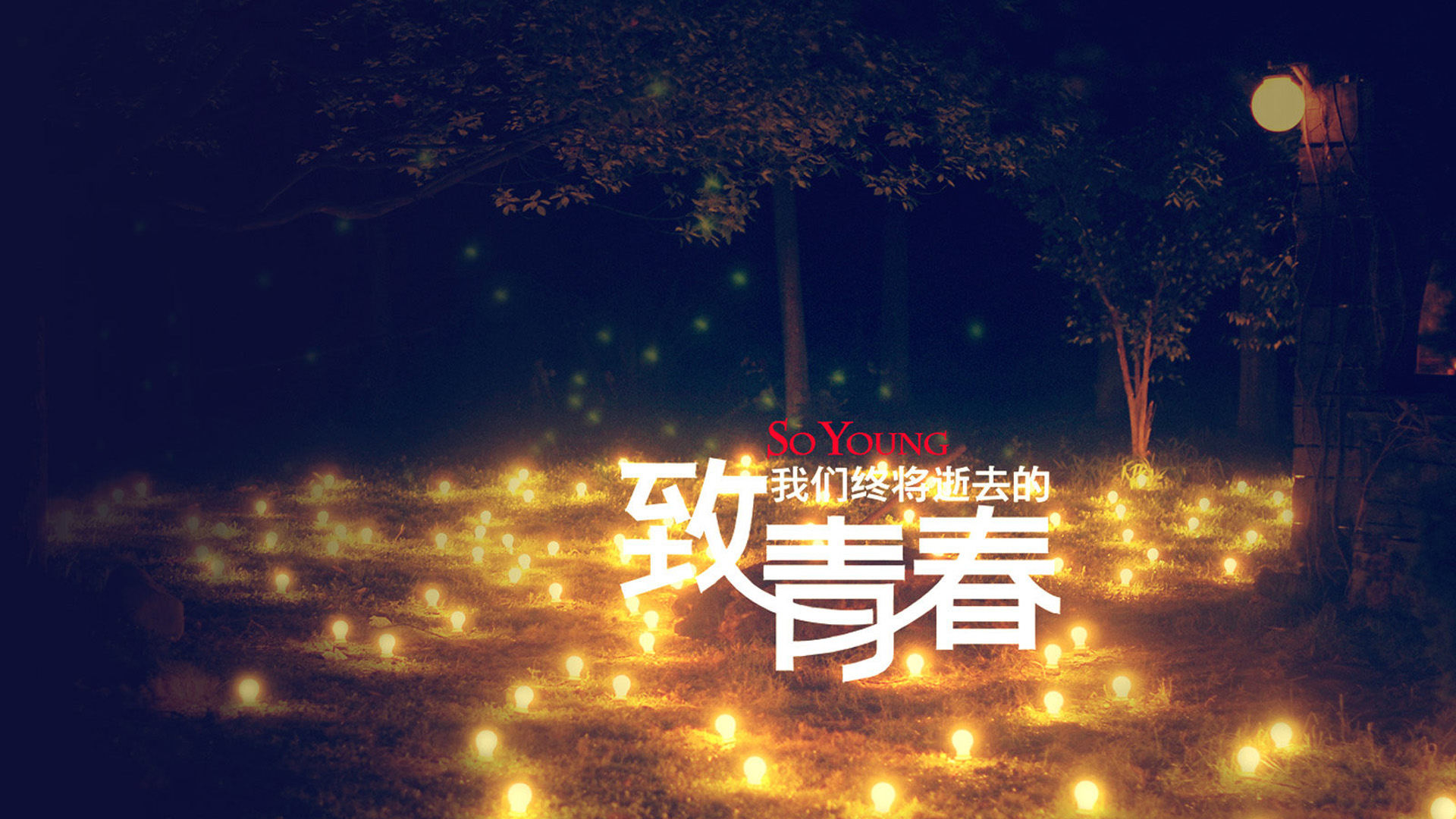 致我们终将逝去的青春，精选免费桌面壁纸，一键下载美化电脑