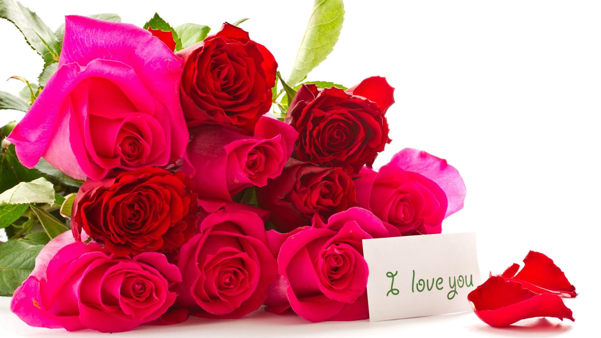 节日玫瑰绽放，i love you深情告白，精选桌面壁纸花卉，免费电脑壁纸下载！