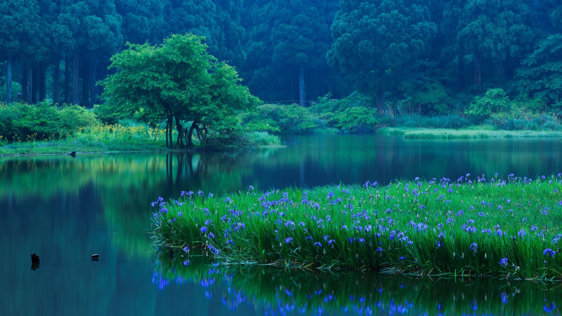 高岛湖美景，免费电脑壁纸下载，尽赏滋贺县的自然风光