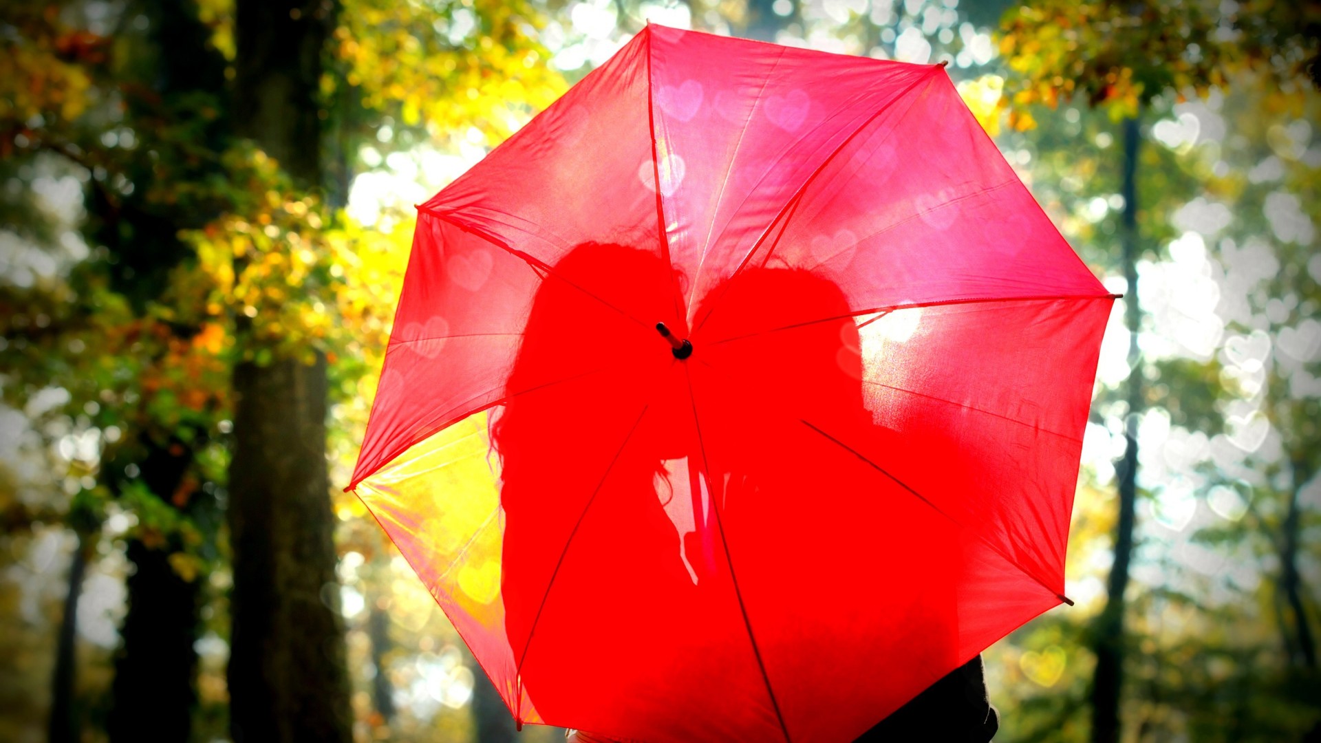 森林恋人，红色雨伞下的甜蜜亲吻，精选桌面壁纸免费下载