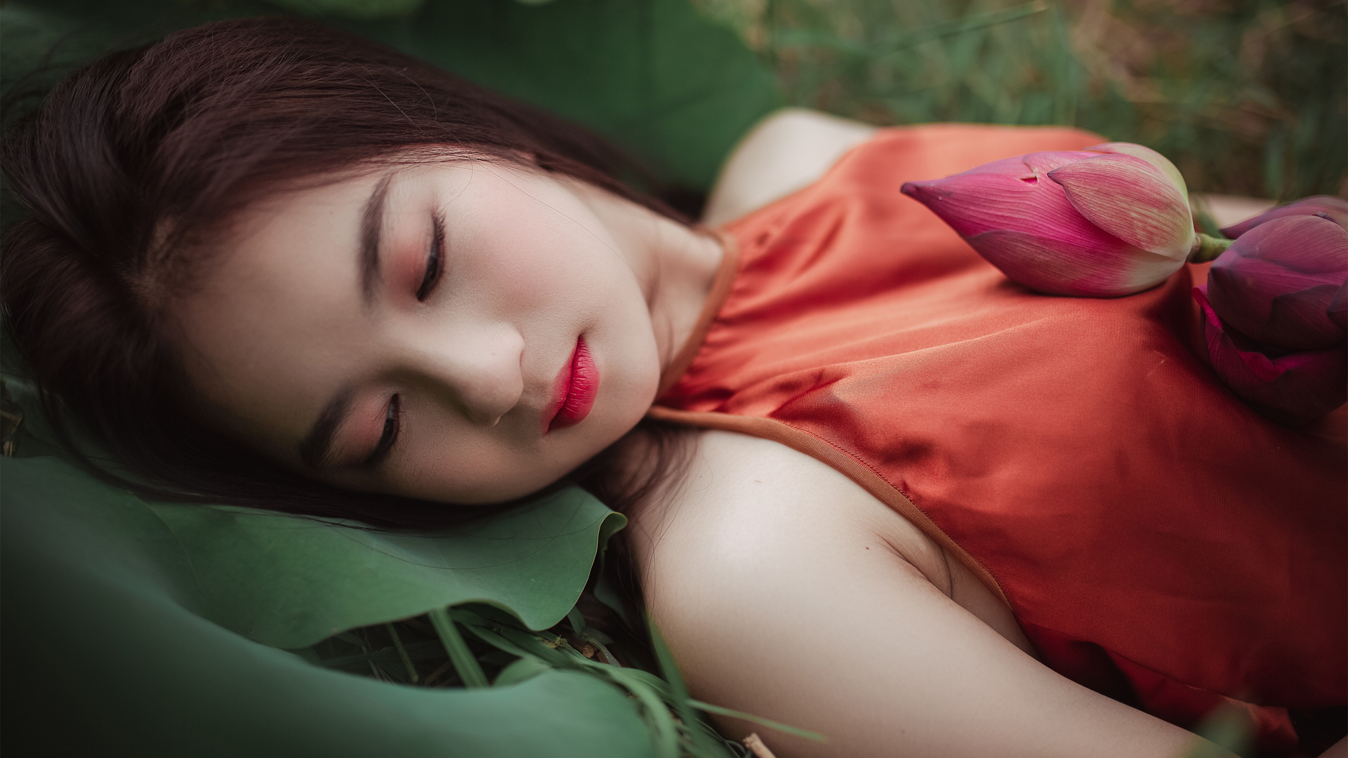 美丽荷花壁纸，精选美女主题，免费电脑壁纸下载