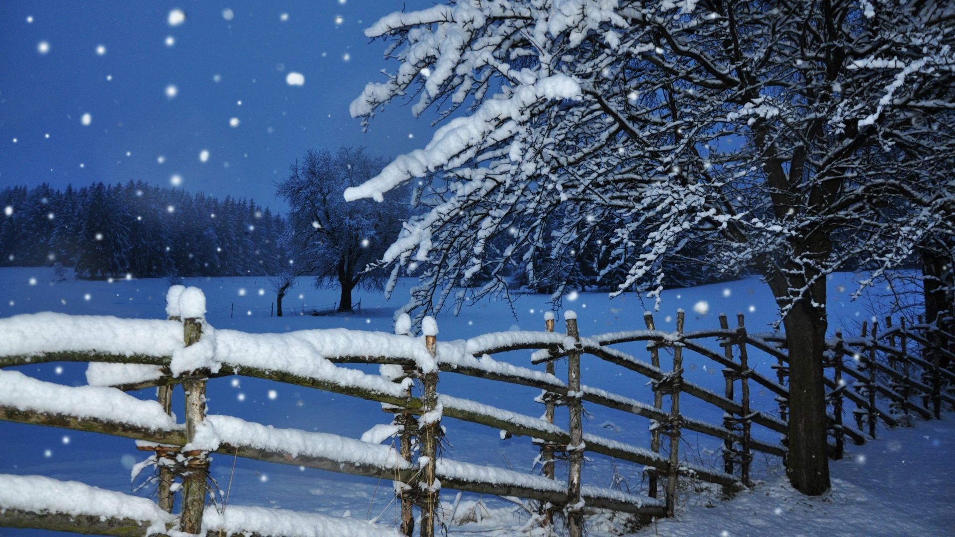 冬天,雪,飘雪,树,围栏,冬天风景桌面壁纸