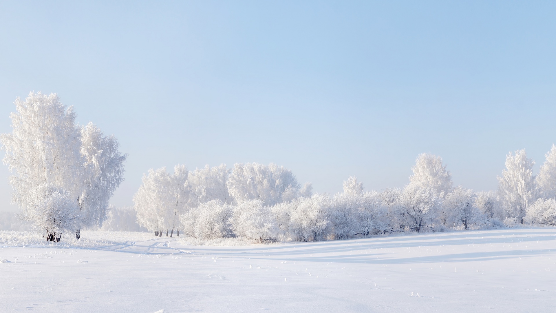 冬天的雪,天空,树木,全景风景桌面壁纸