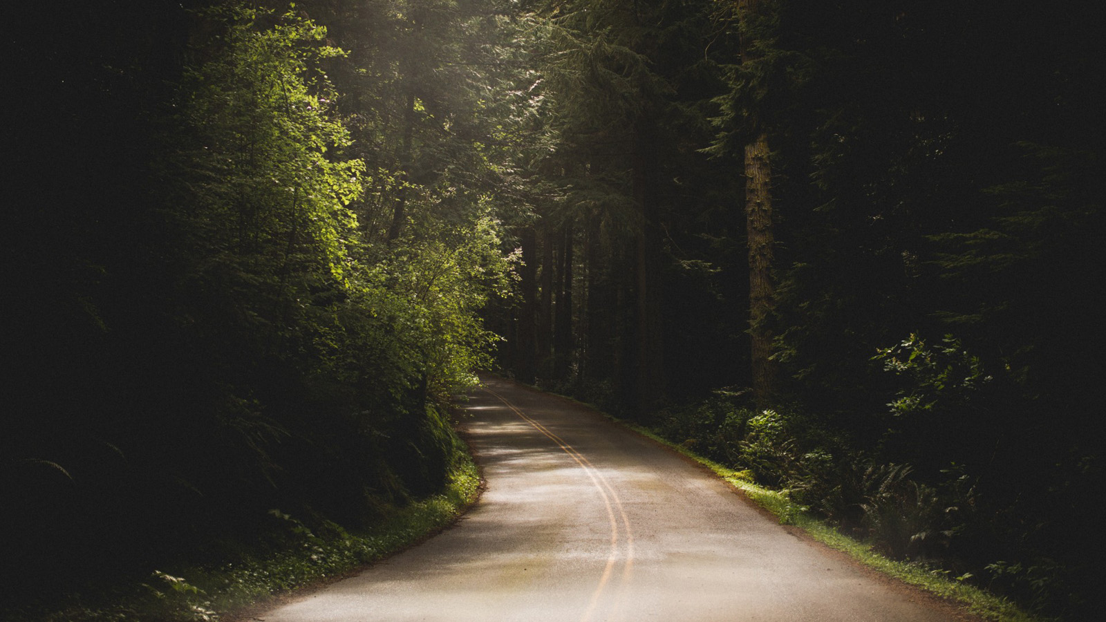 自然风光桌面壁纸，道路与沥青，树木相伴，免费下载高清美景