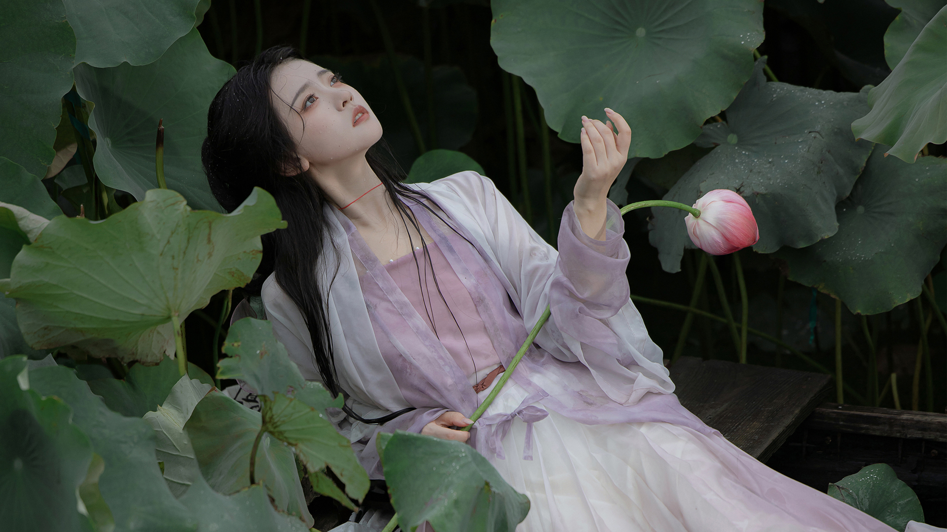古风美女与荷叶荷花唯美电脑壁纸，免费下载