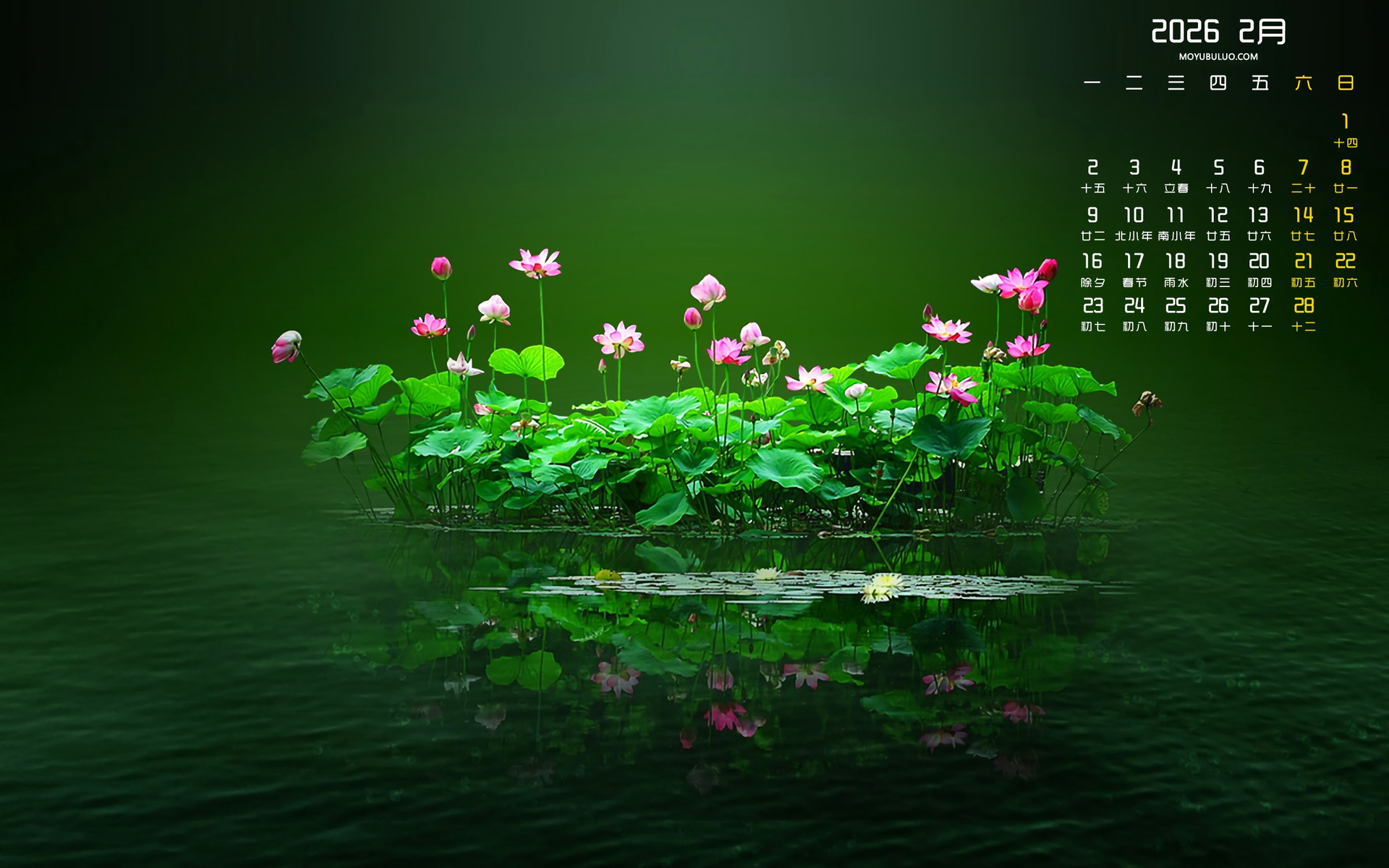 荷花2026年2月桌面日历壁纸 免费电脑壁纸下载