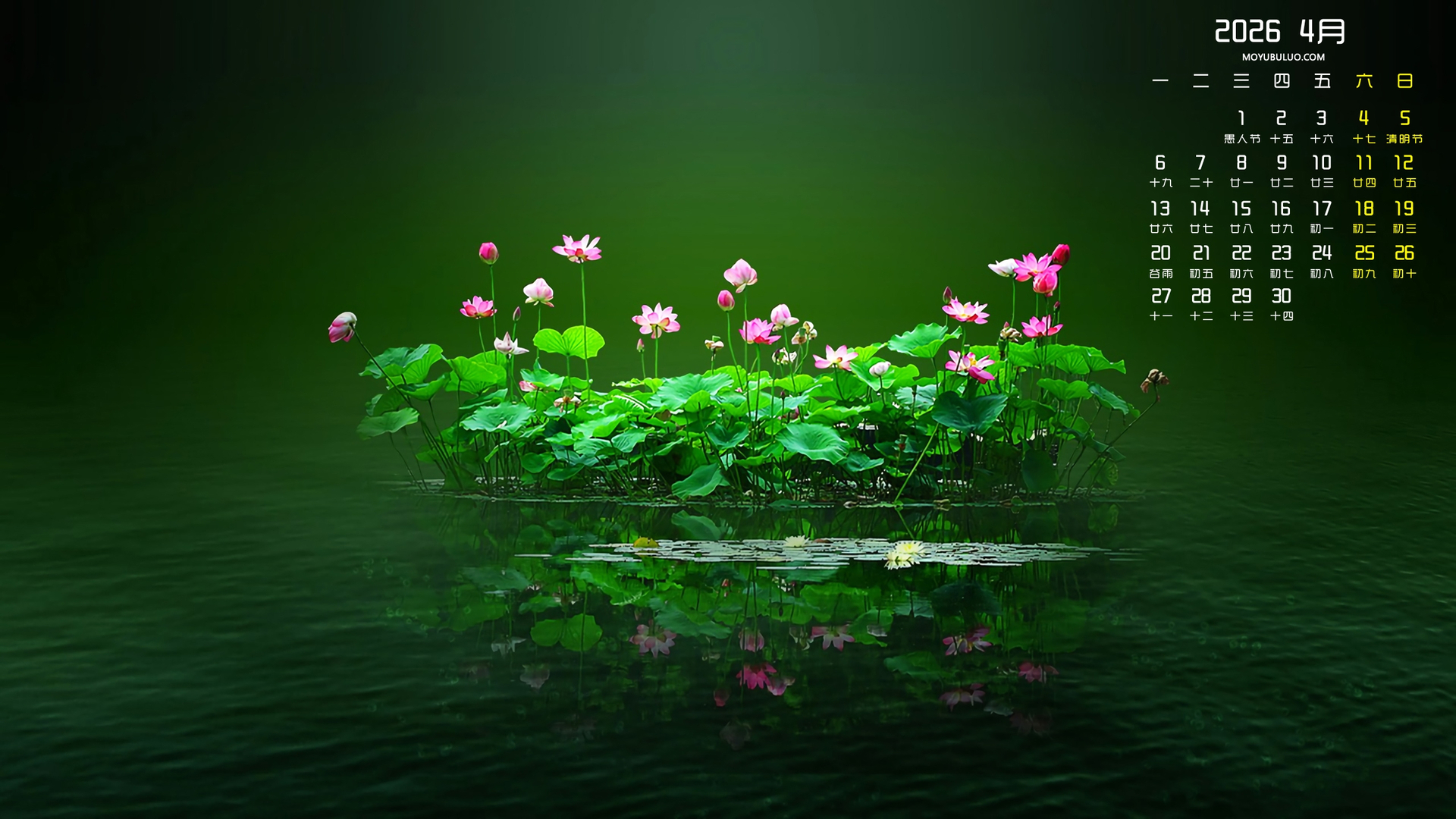 荷花2026年4月日历免费电脑壁纸下载