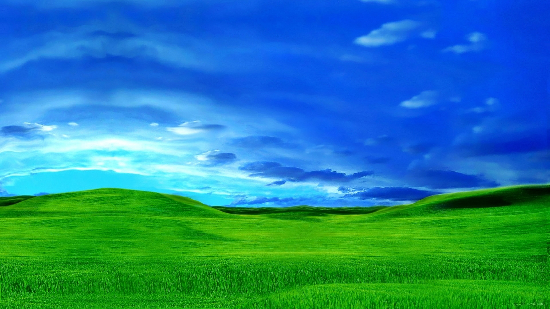 Windows XP 清新风格桌面壁纸及其他免费电脑壁纸下载
