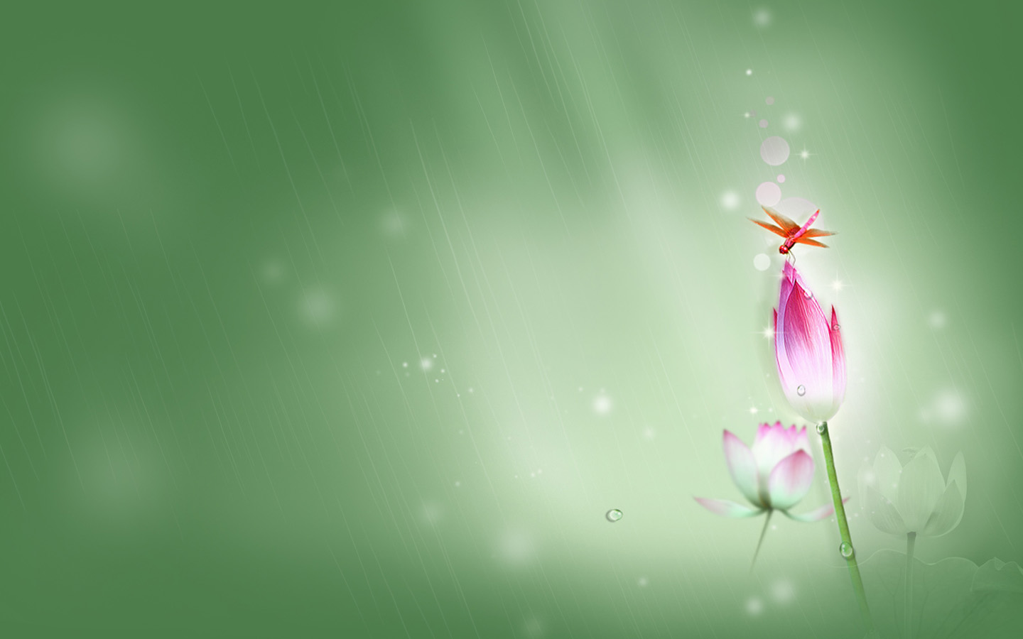 荷花蜻蜓壁纸