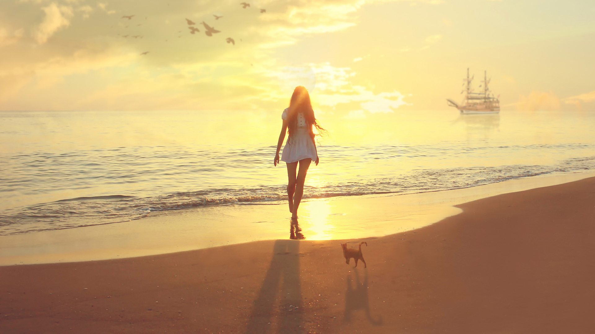 女孩与猫共赏海边美景，大海、帆船壁纸，唯美意境，免费下载！