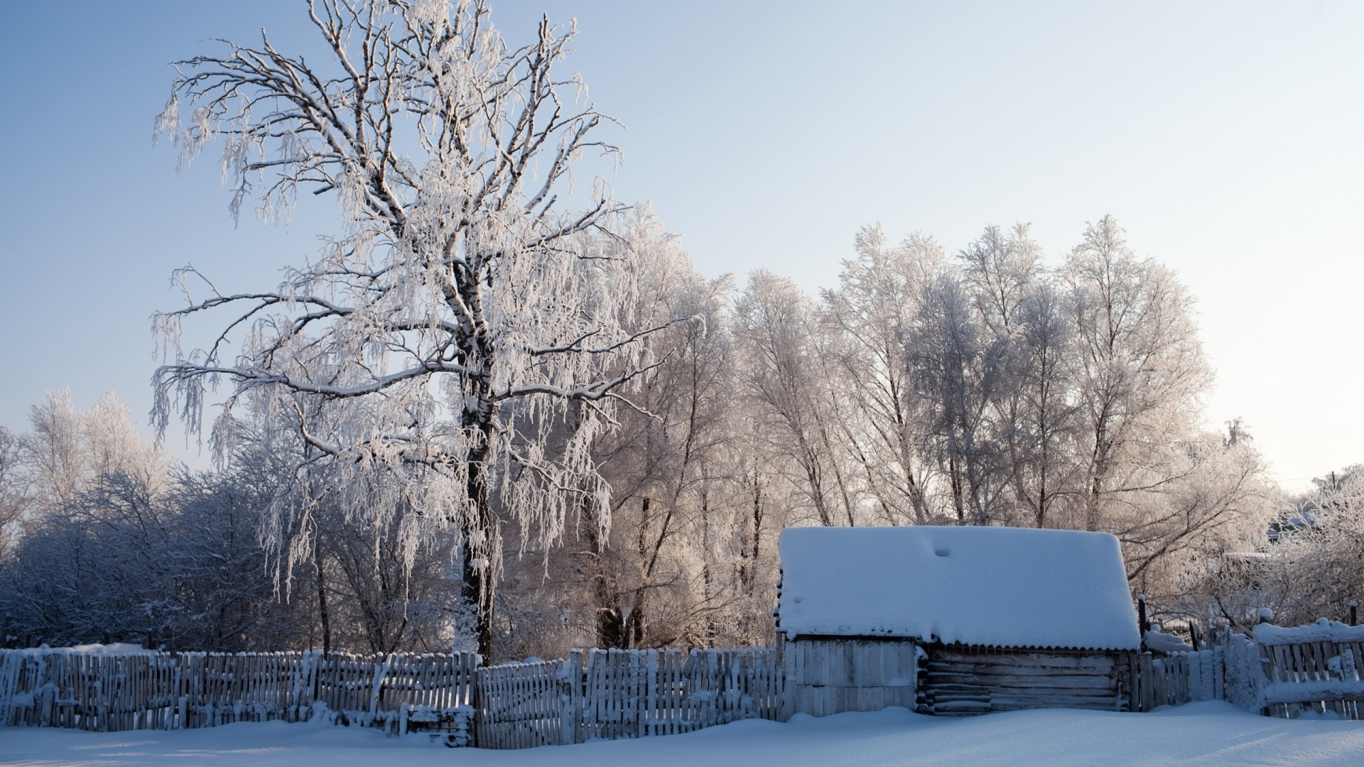 冬天，房子，栅栏，雪，风景图片，桌面壁纸