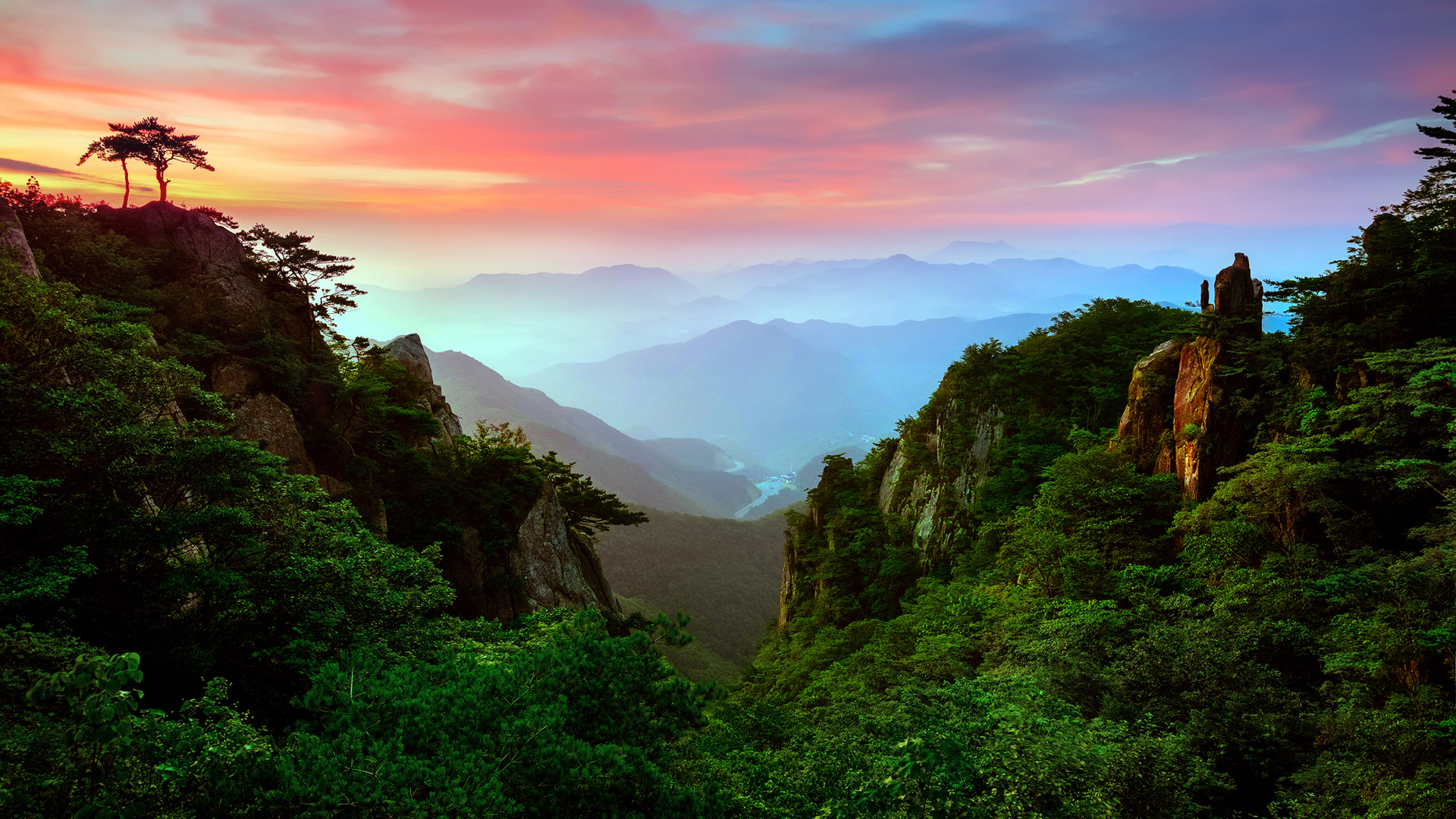 森林山谷雾景，绝美高清壁纸，免费下载装点你的电脑桌面