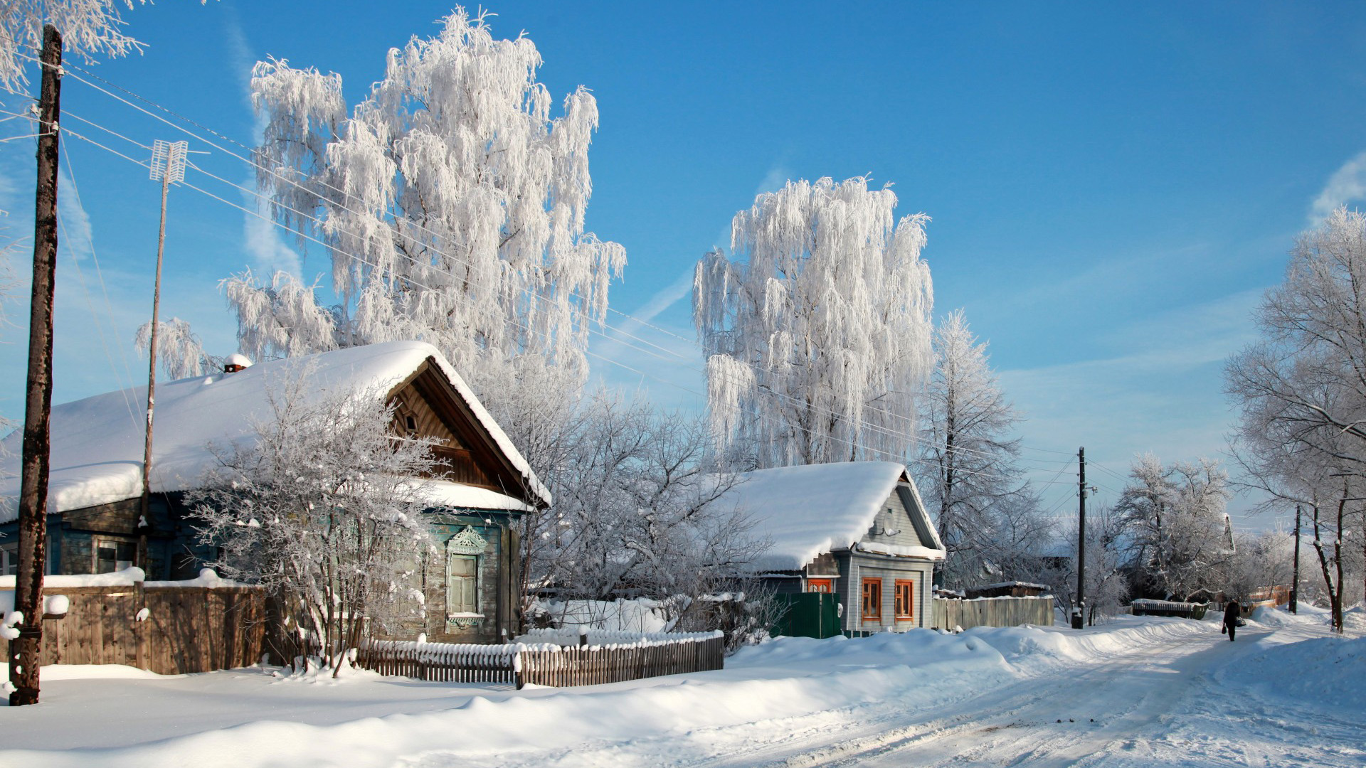 冬日村庄雪景，家与树的温馨画面，免费高清电脑壁纸下载