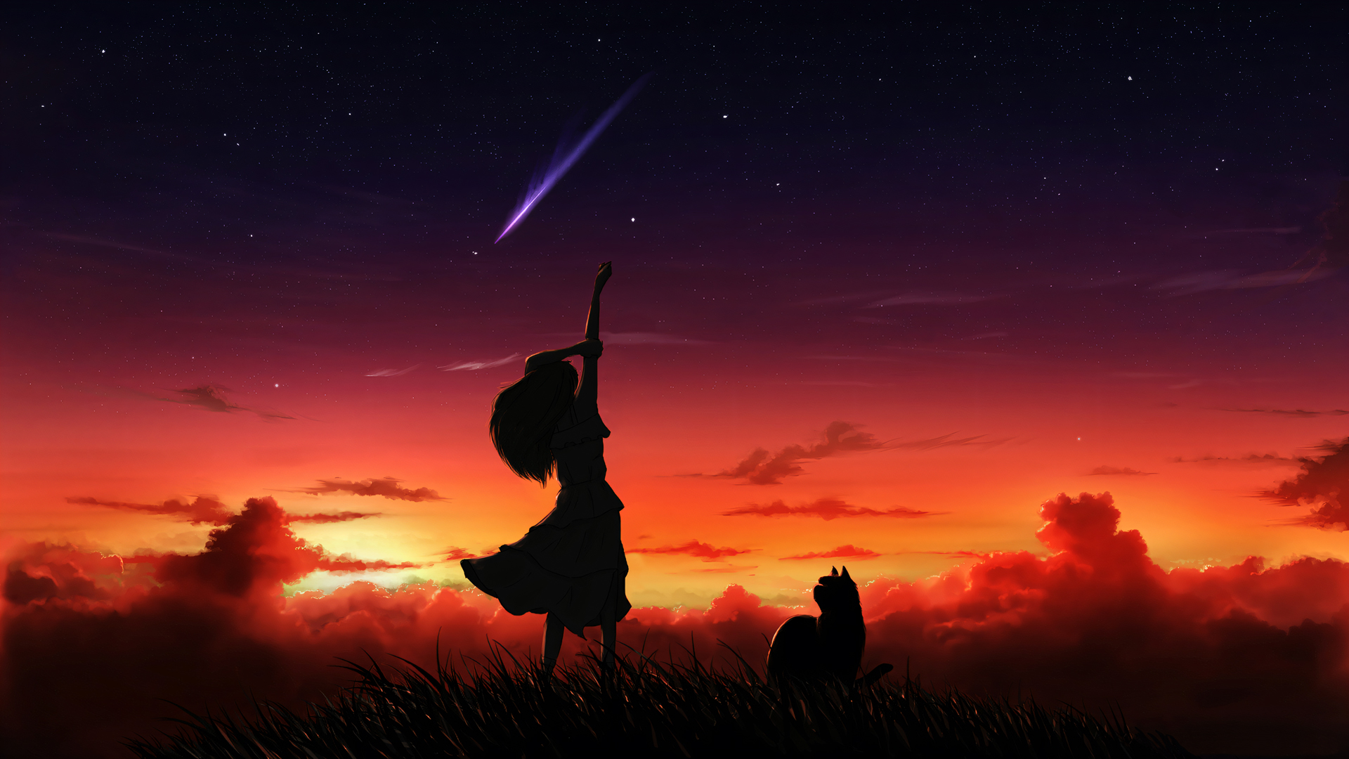 梦幻晚霞星空流星女孩抱猫，绝美动漫壁纸免费下载