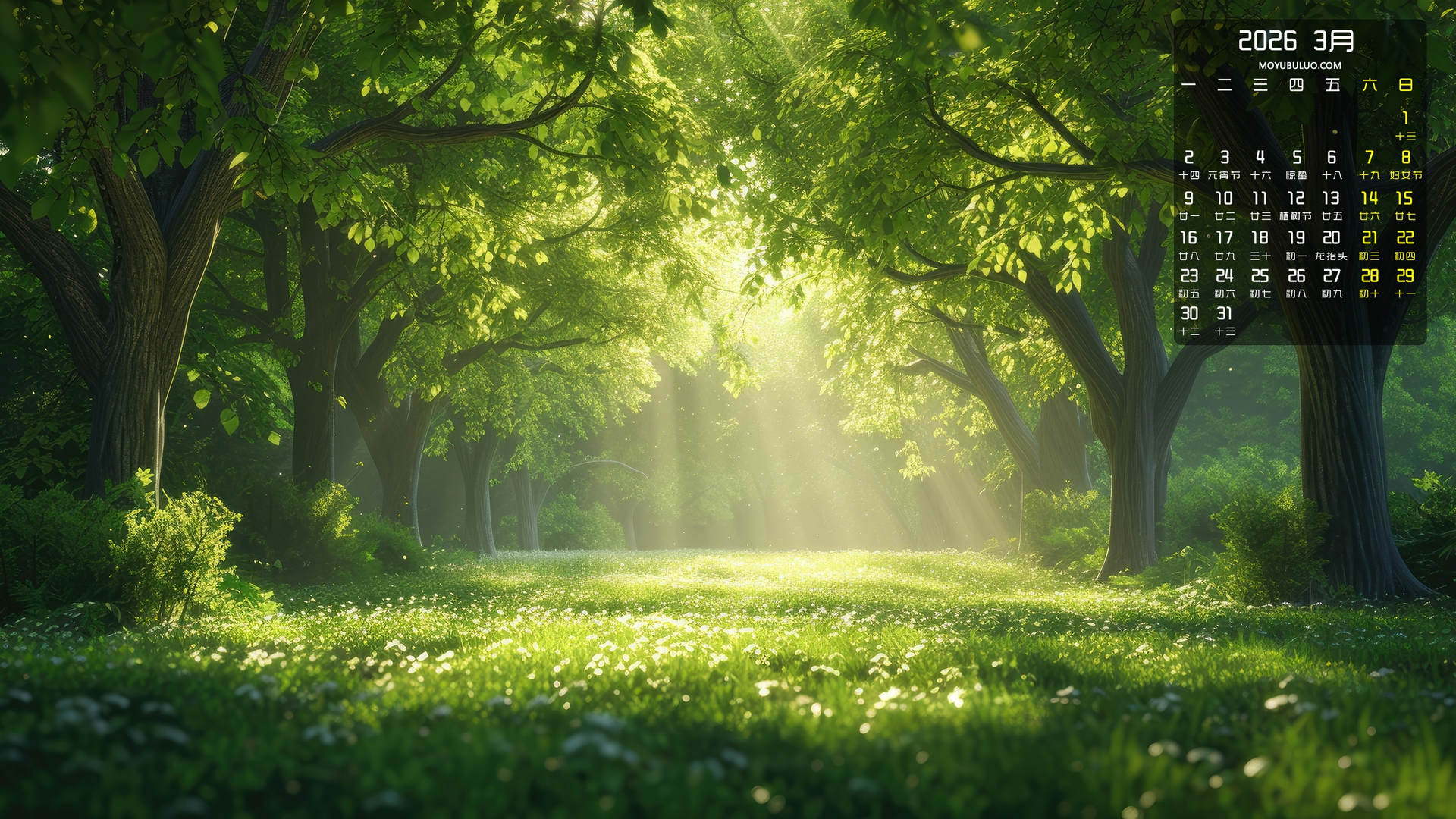 2026年3月春天阳光树林风景护眼日历免费电脑壁纸下载