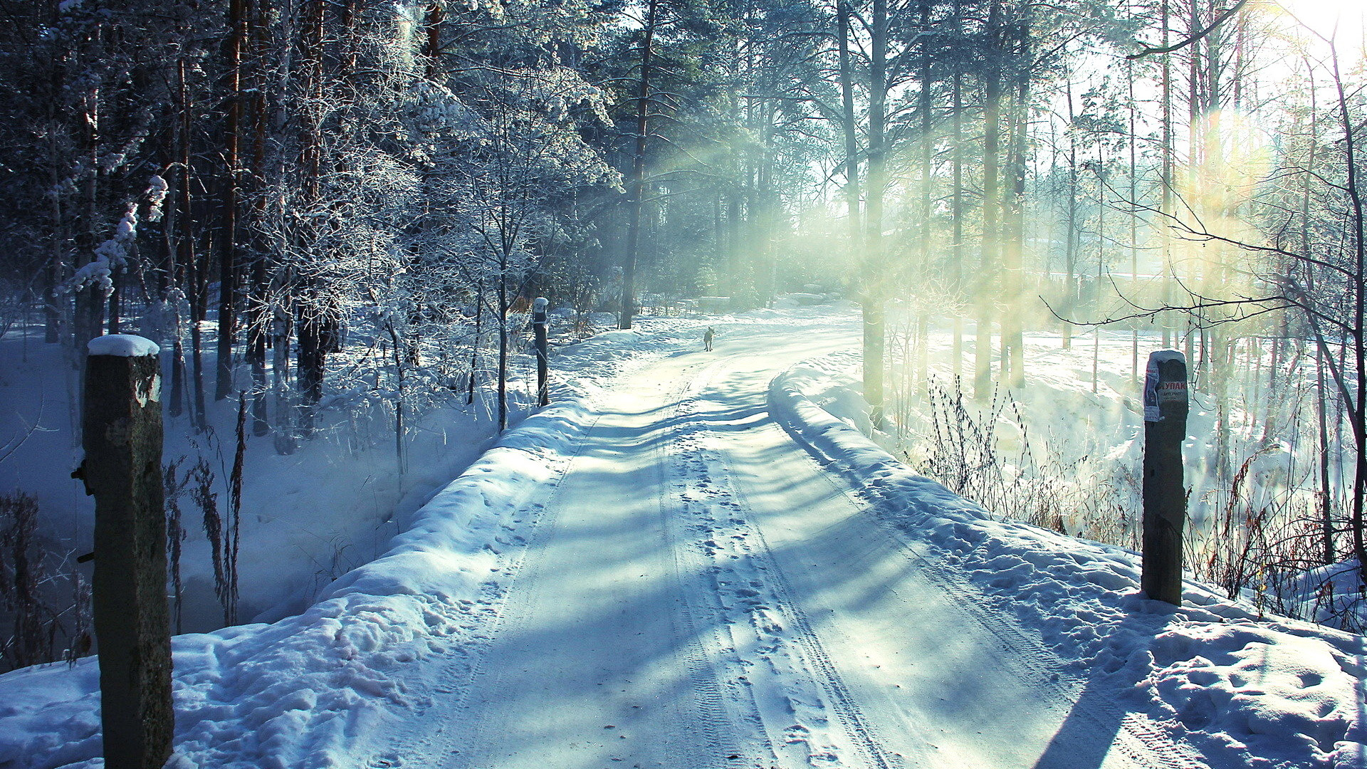 冬日林间雪径，绝美雪景壁纸，免费下载装点你的电脑桌面
