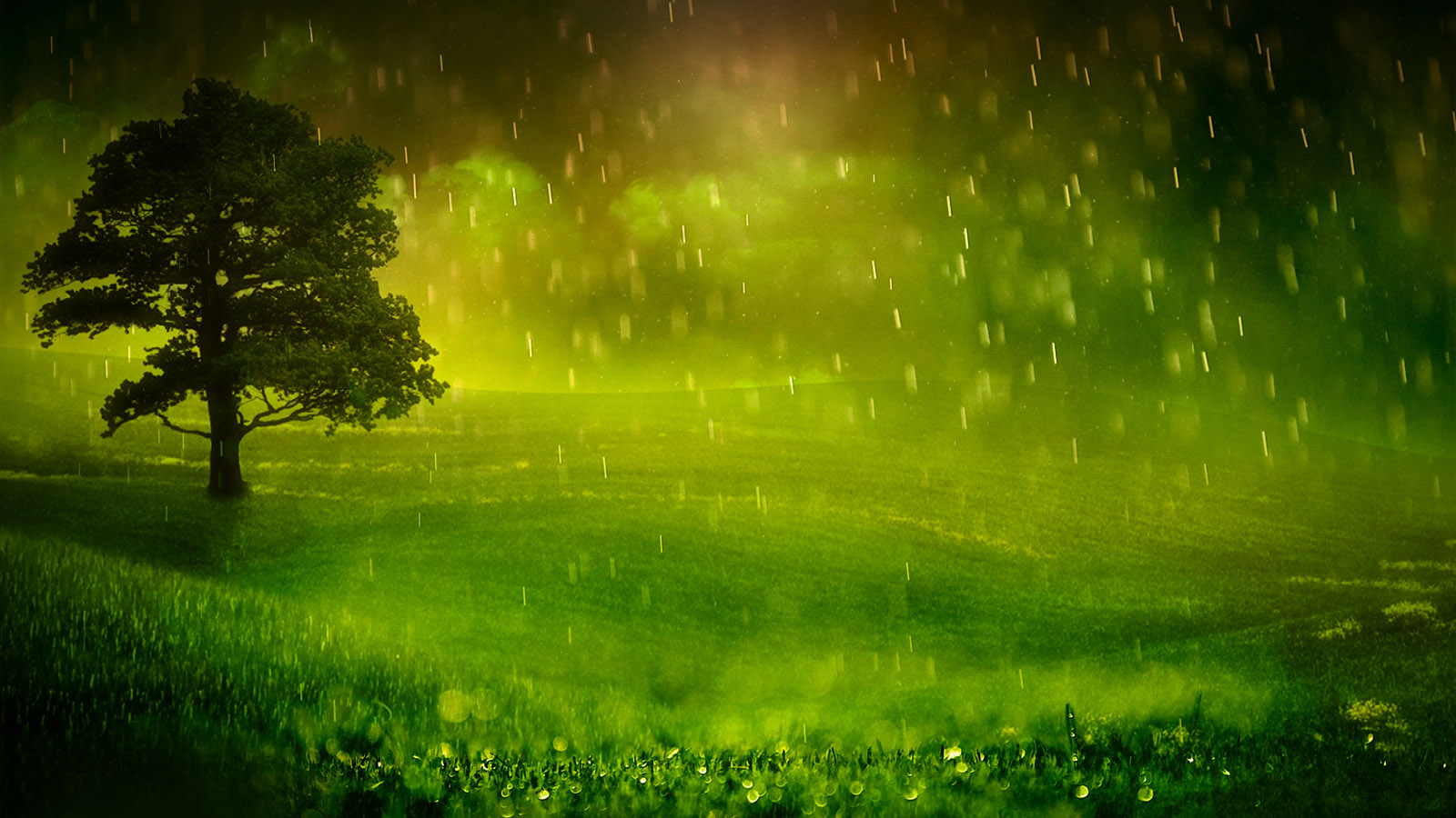 免费下载落雨风景桌面壁纸，高清美景尽在眼前！