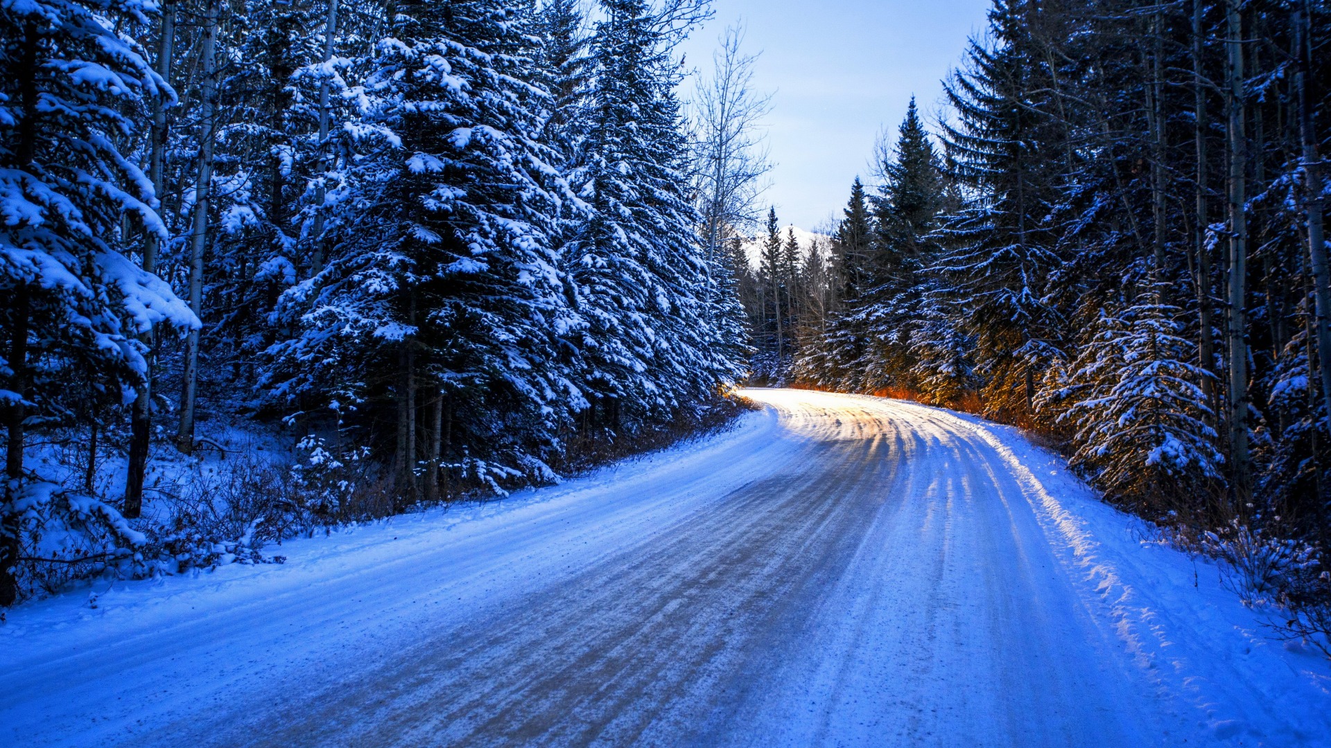 冬季森林雪景，道路树木美景壁纸，免费下载桌面背景