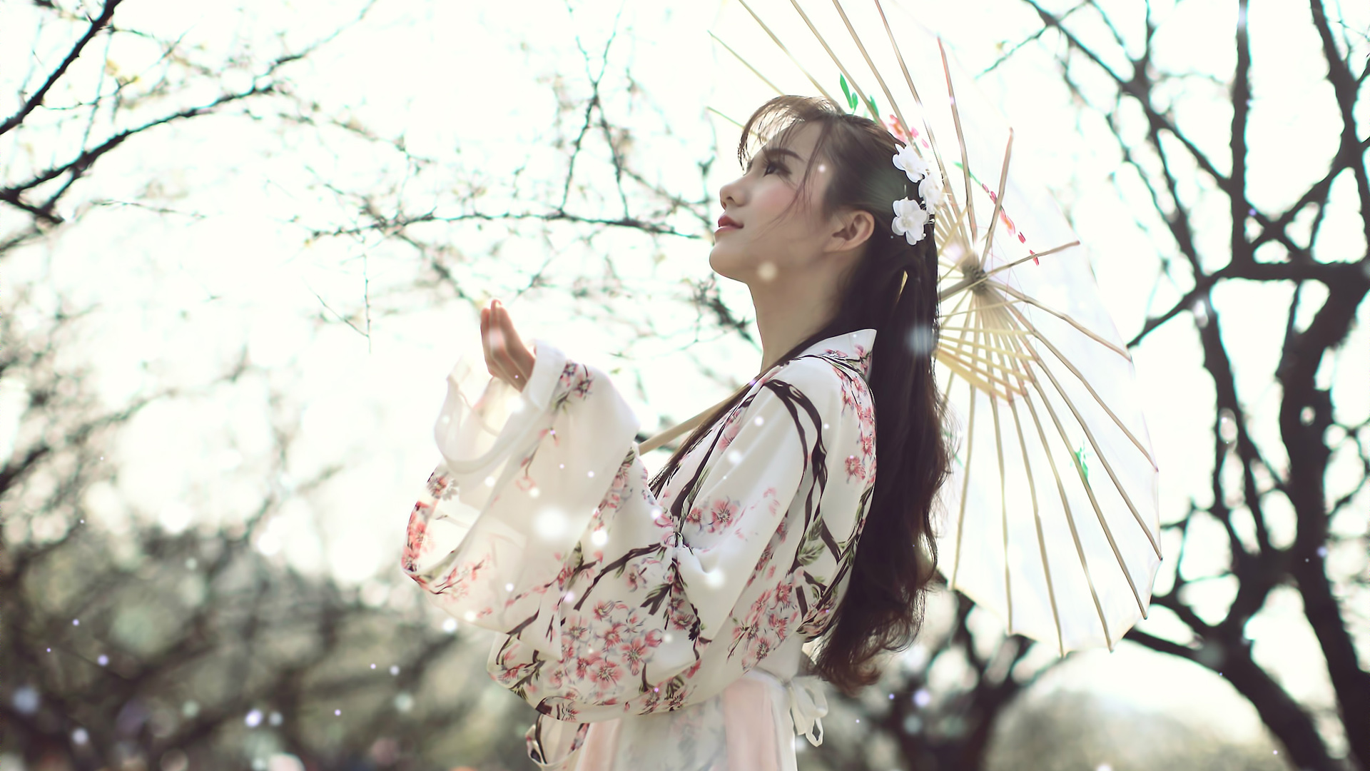 梅花弄，清纯古装美女壁纸精选，免费电脑壁纸下载