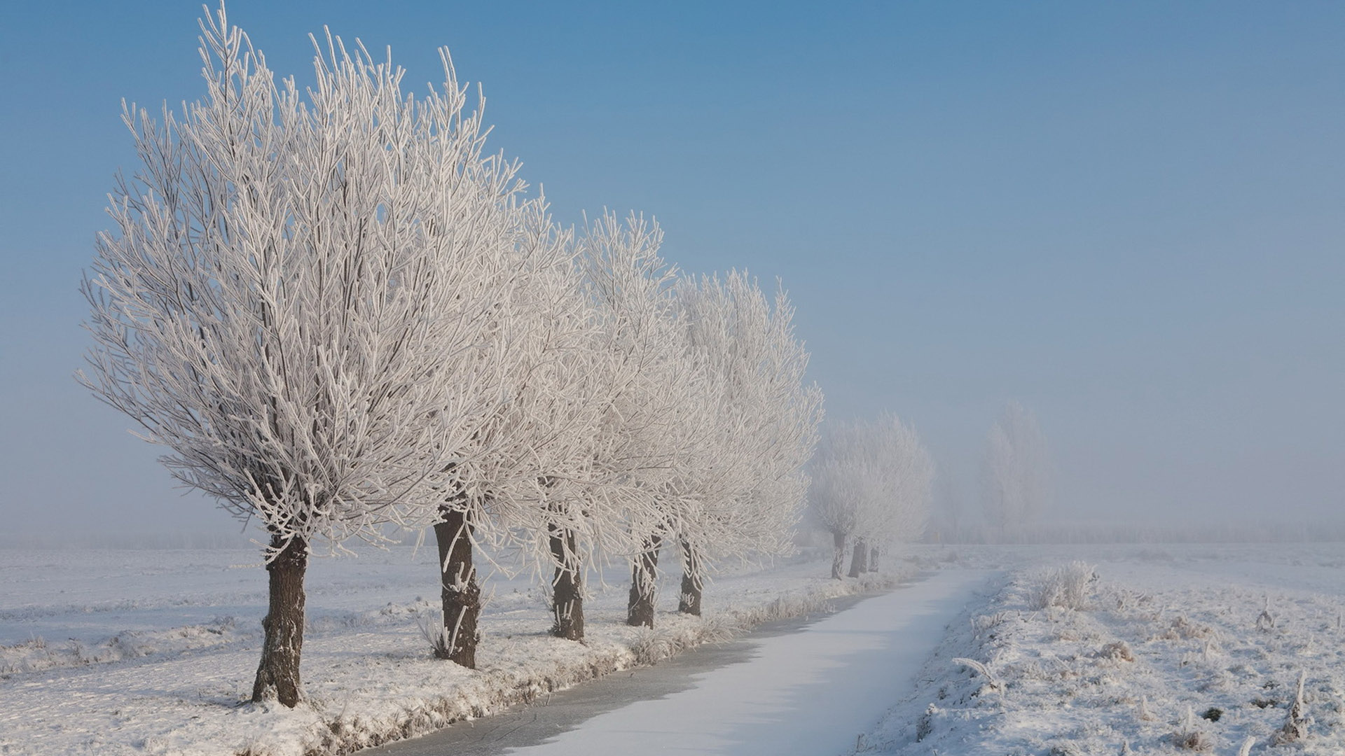 雪景桌面壁纸，免费下载白茫茫风光背景，装点你的电脑屏幕