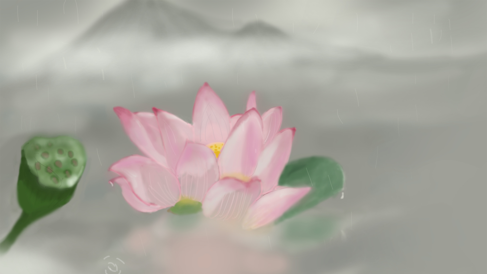 莲花莲蓬山雨景，中国风高清壁纸，免费花卉电脑壁纸下载
