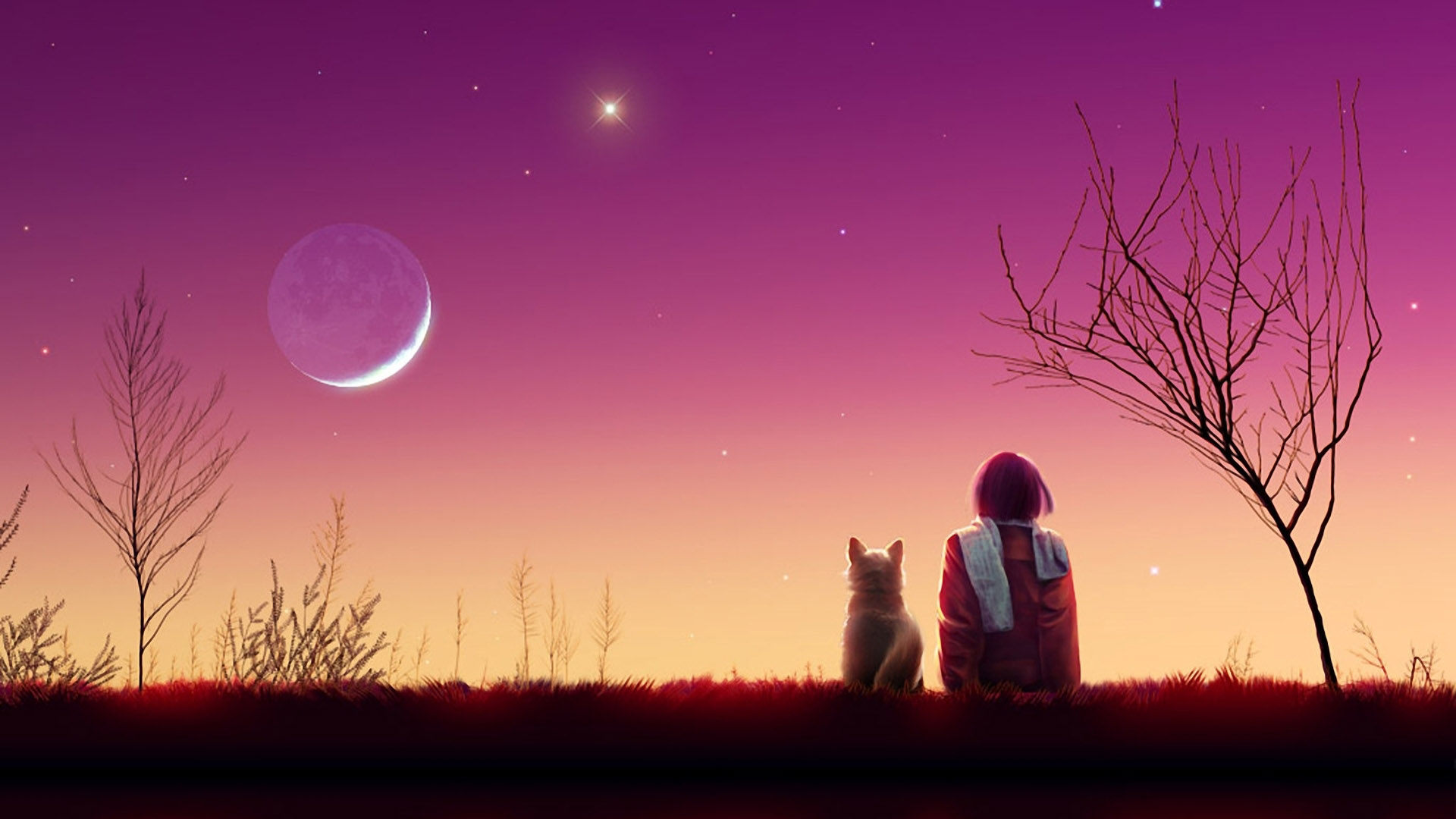 梦幻星空动漫壁纸，免费下载绝美桌面背景，点亮你的电脑屏幕