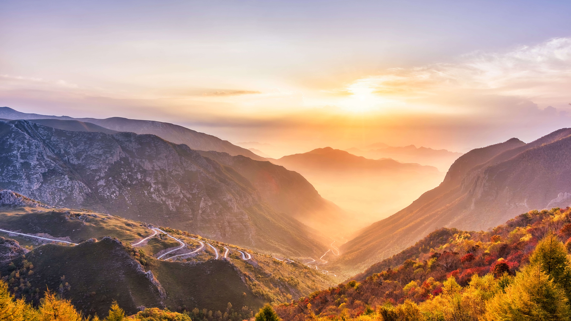 秋日山景，高清日出树木壁纸，免费电脑壁纸下载