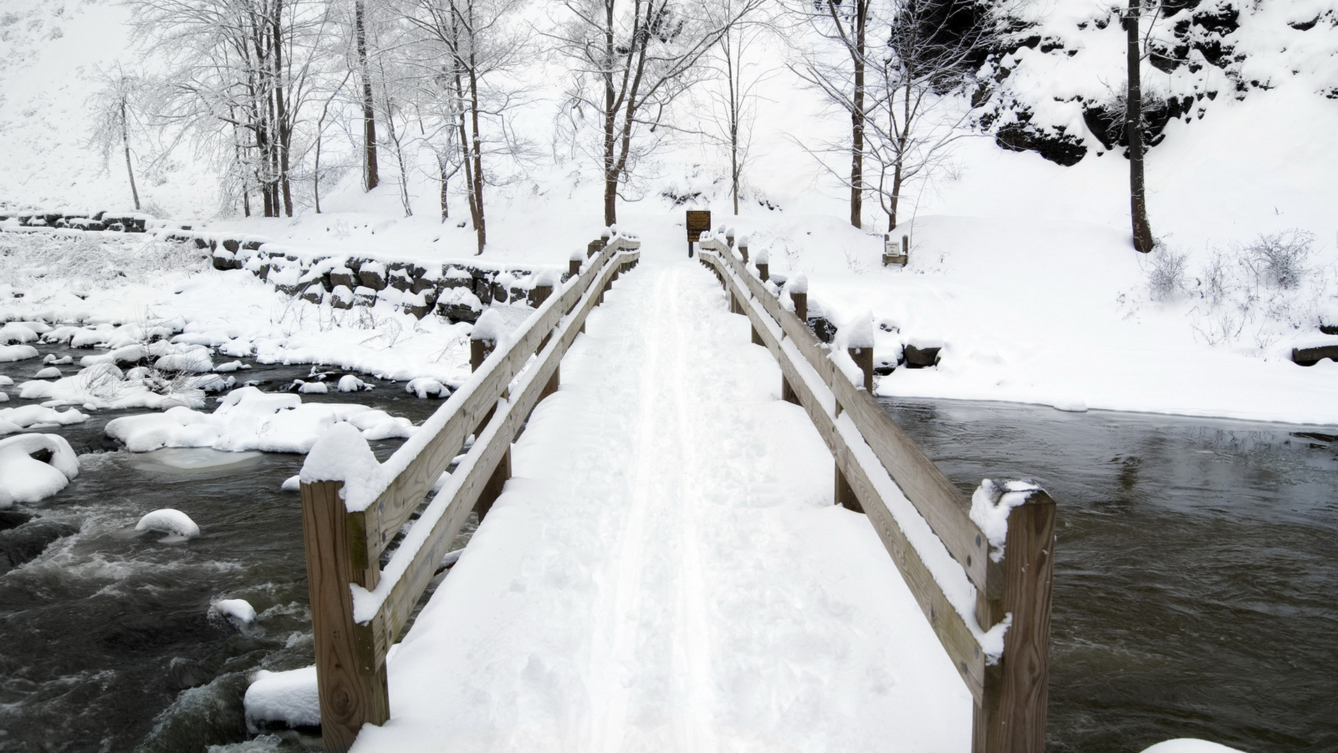 冬日雪景壁纸，雪覆桥梁、河畔林木，免费高清桌面背景下载