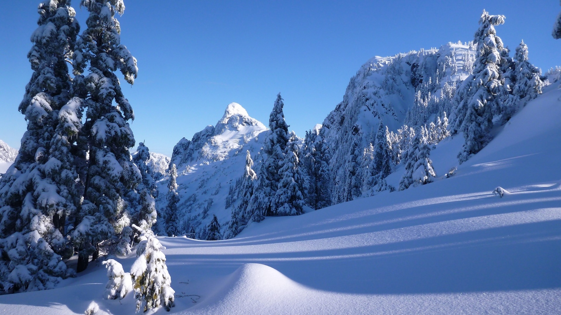 冬日雪景盛宴，雪山树木绝美风光，自然桌面壁纸免费下载