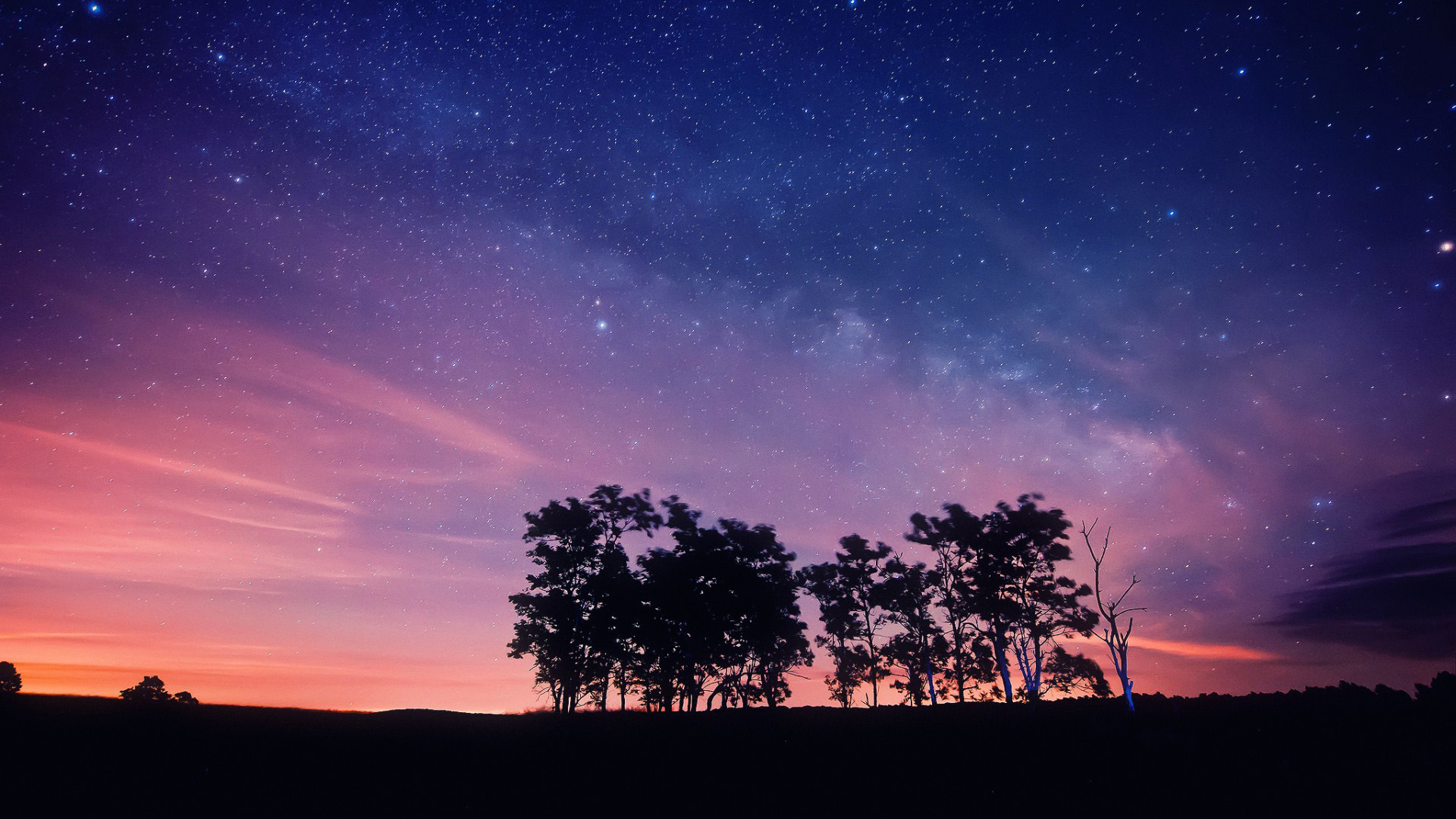 梦幻星夜，免费下载树木星空桌面壁纸，尽享夜晚的奇幻之美