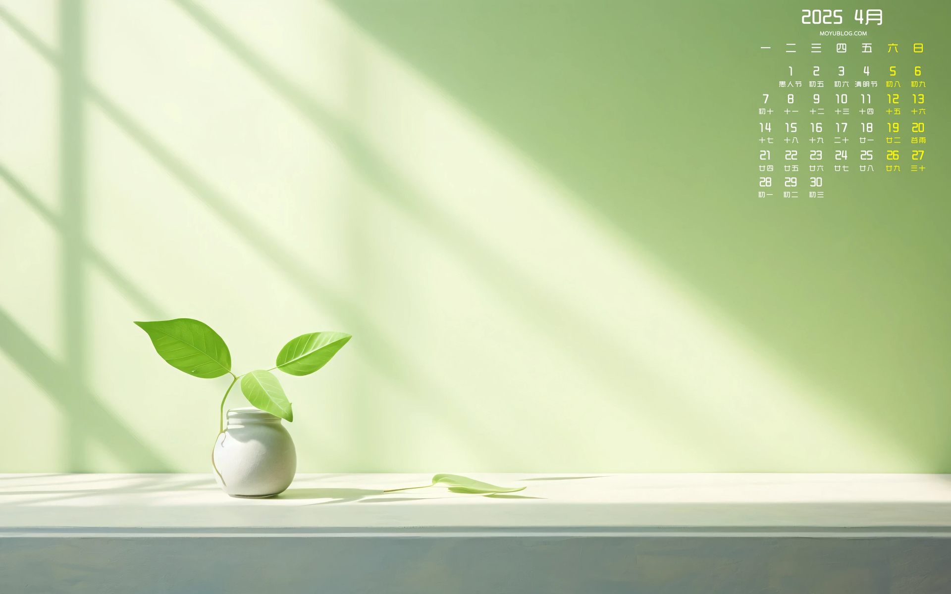 护眼清新绿植窗台2025年4月日历桌面壁纸高清全屏电脑