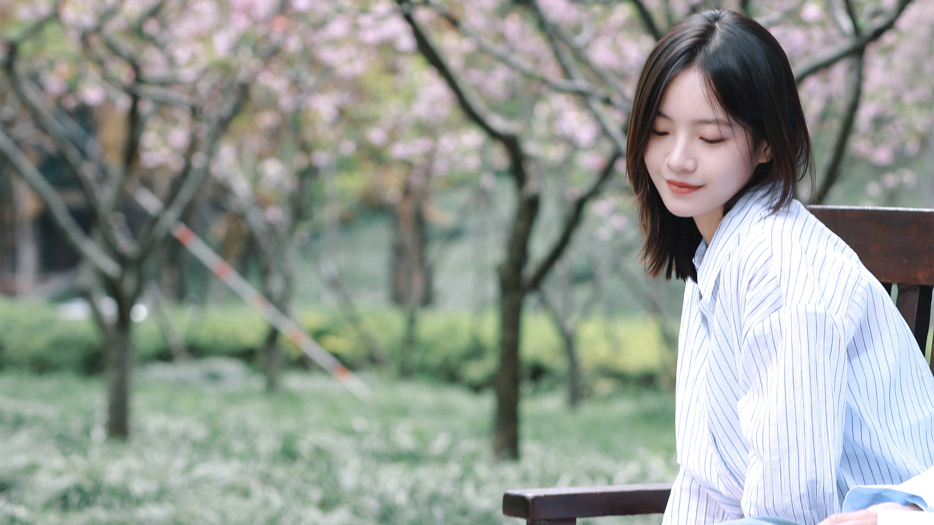 春日公园盛景，李庚希美图壁纸，免费高清电脑桌面下载
