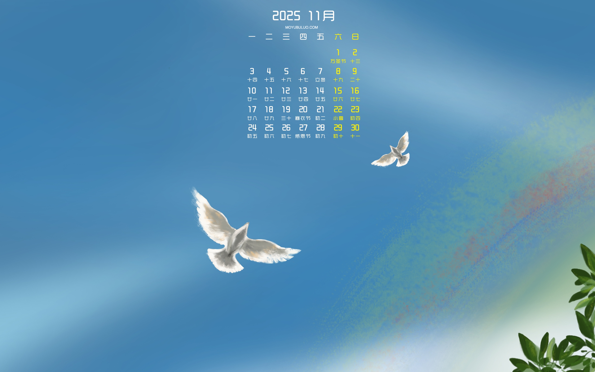 免费下载，2025年11月鸽子主题桌面日历电脑壁纸